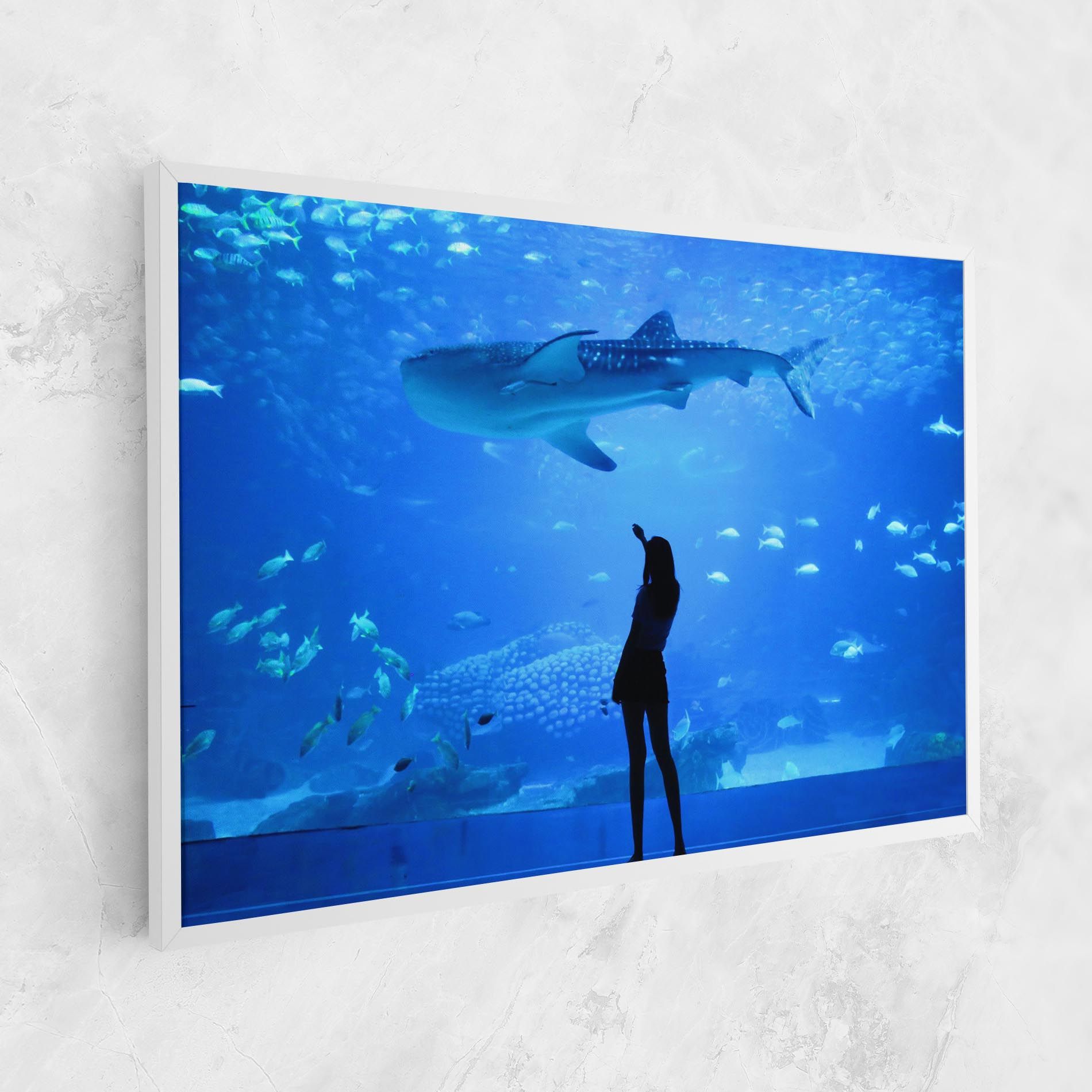 Aquarium Girl mockup 1