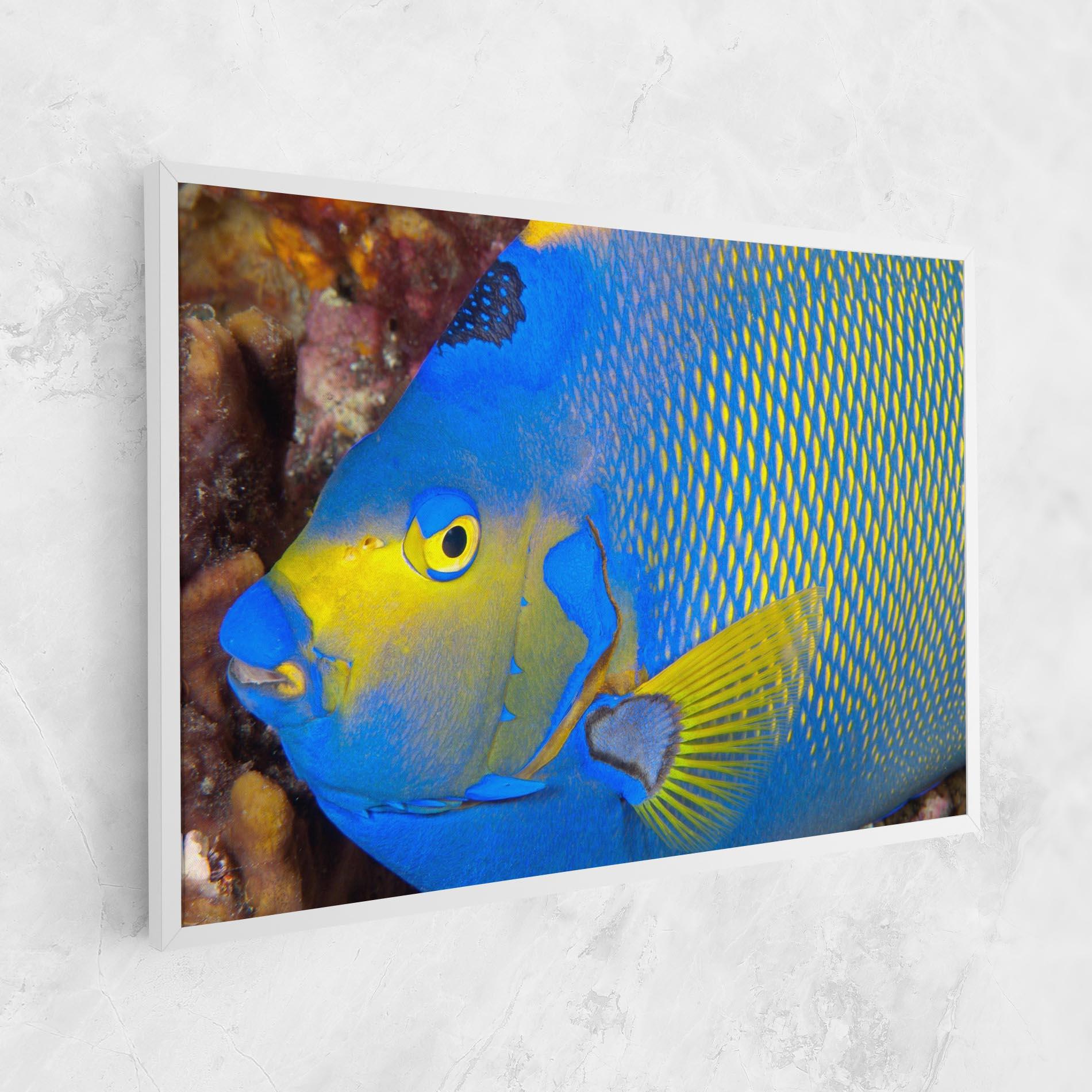 Картина на платно Blue Yellow Fish mockup 1