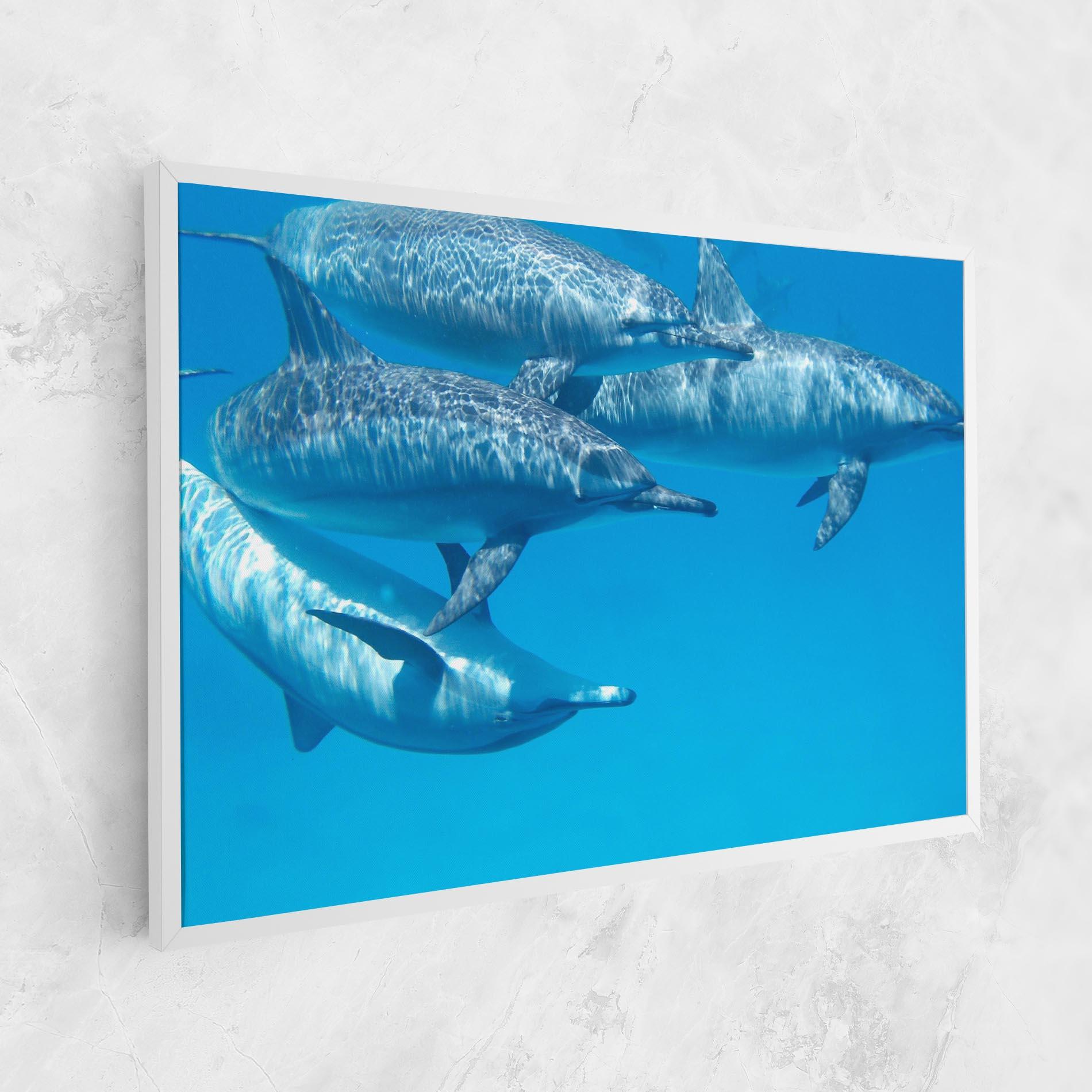 Картина на платно Family Of Dolphins mockup 1