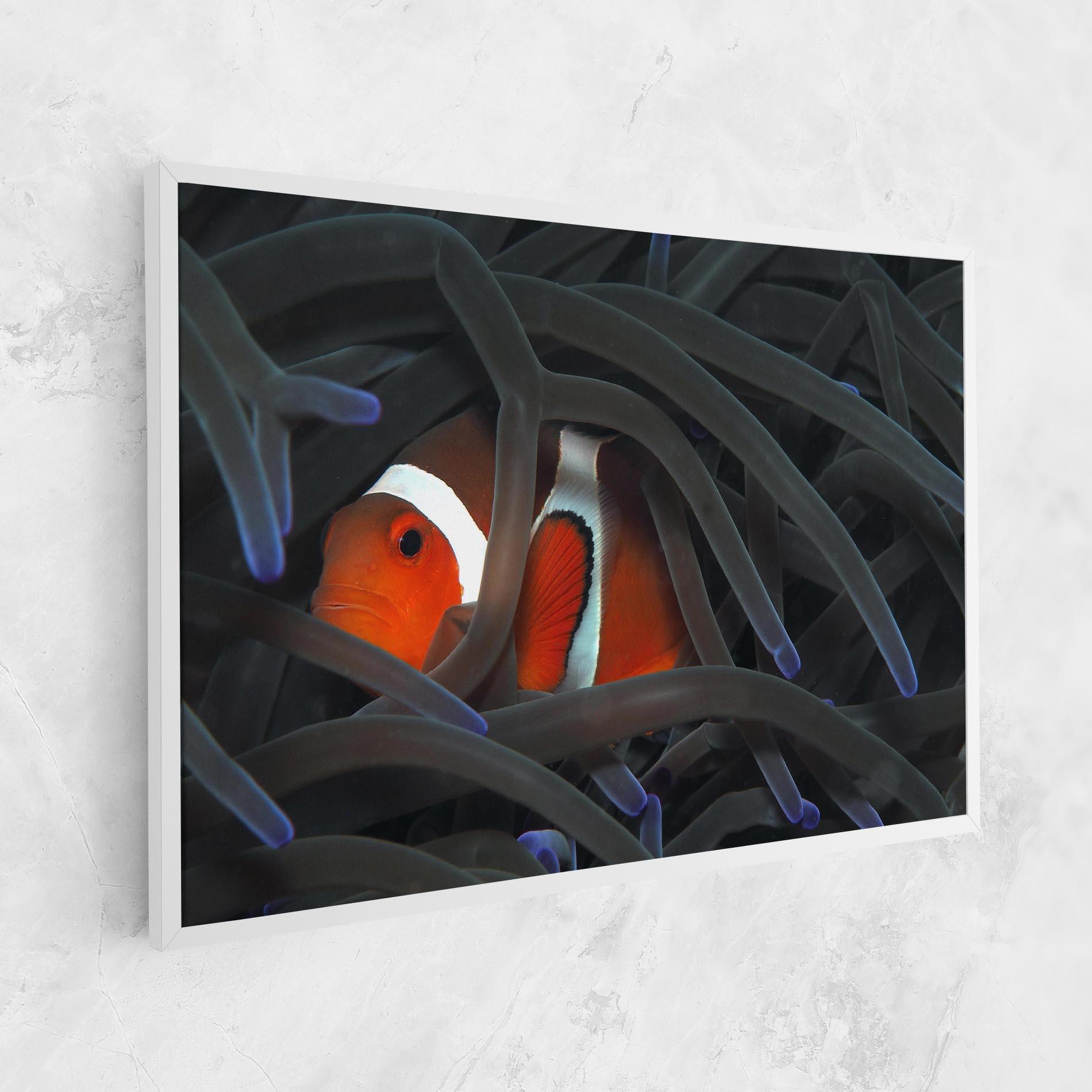 Картина на платно Nemo Hiding mockup 1