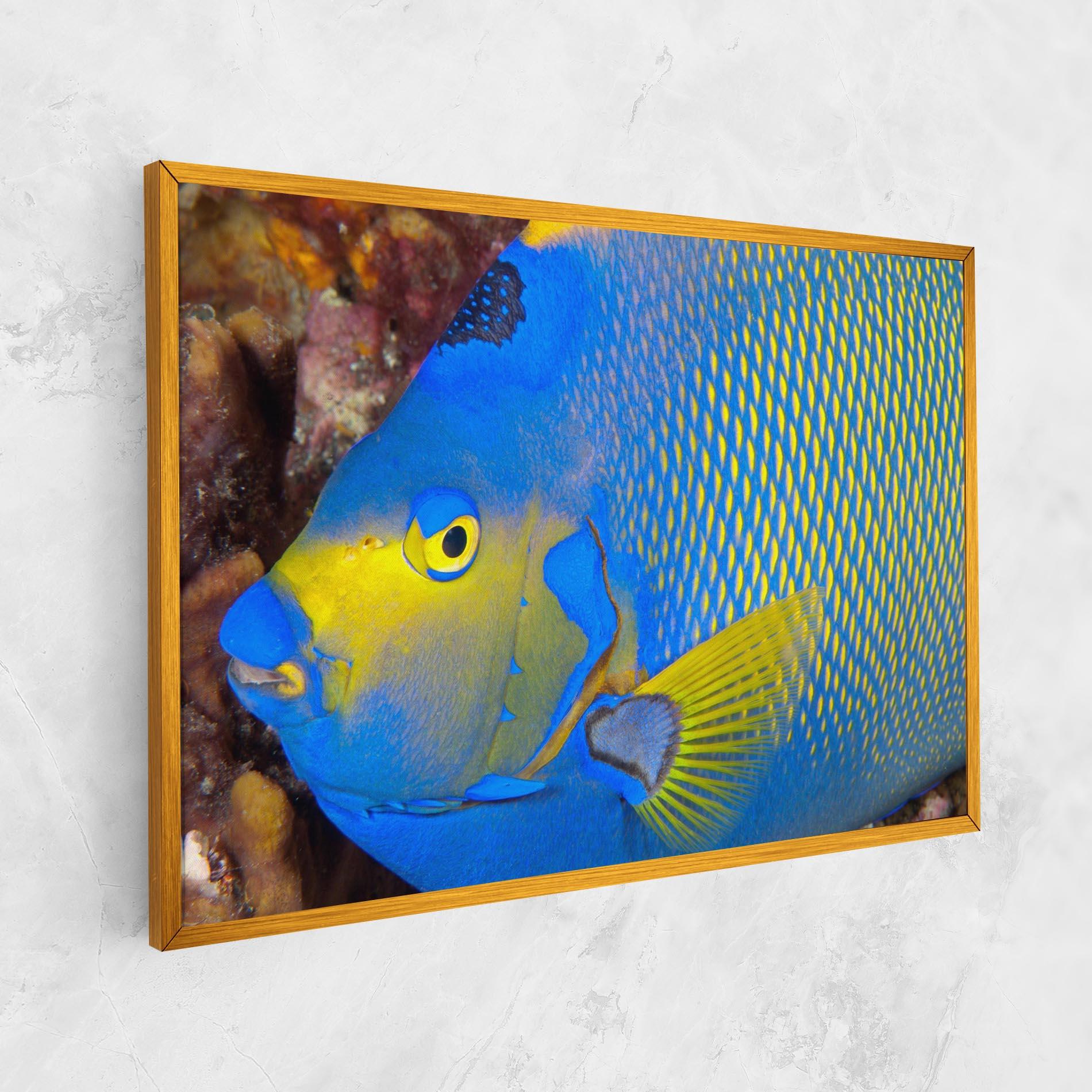 Картина на платно Blue Yellow Fish mockup 1
