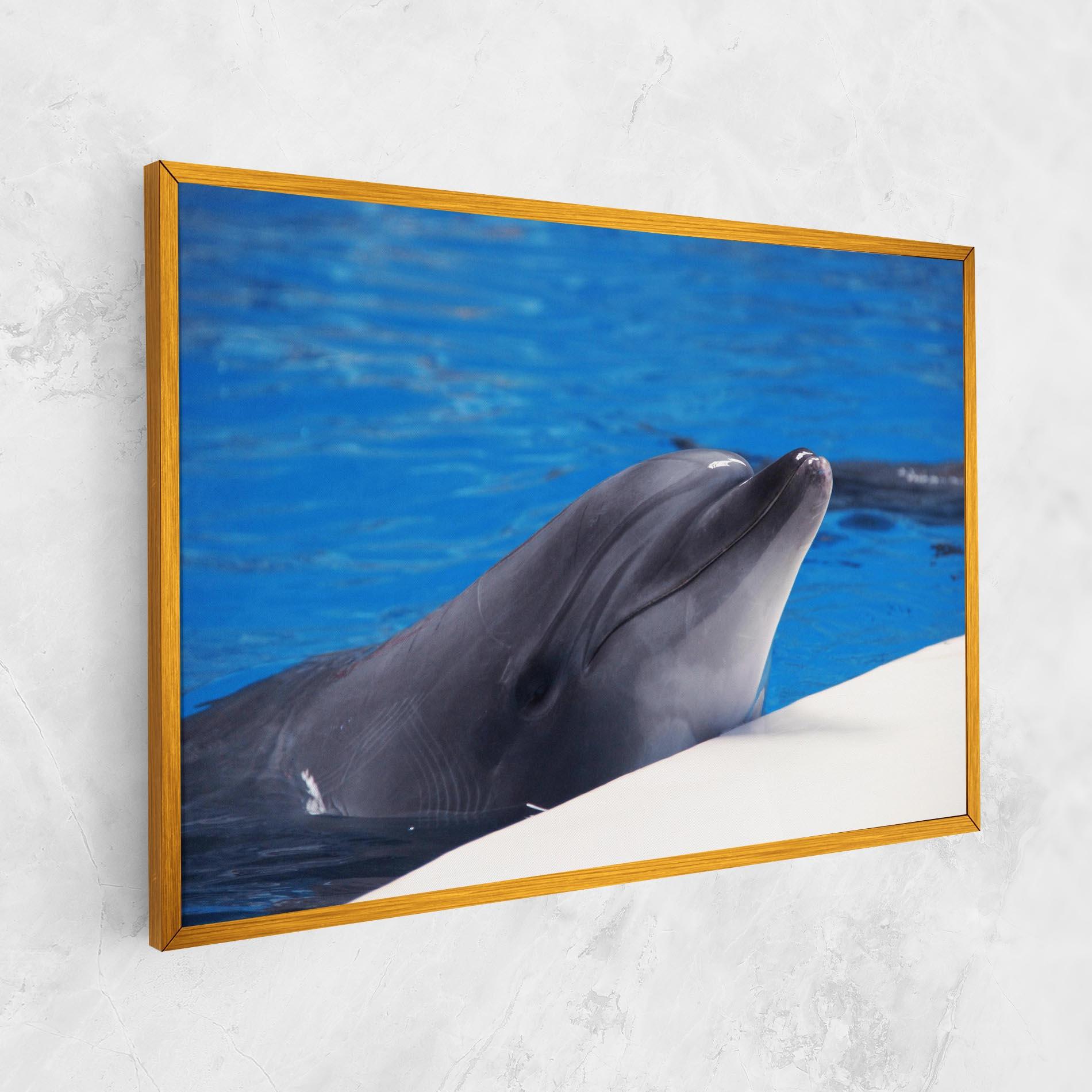 Картина на платно Cute Dolphin mockup 1