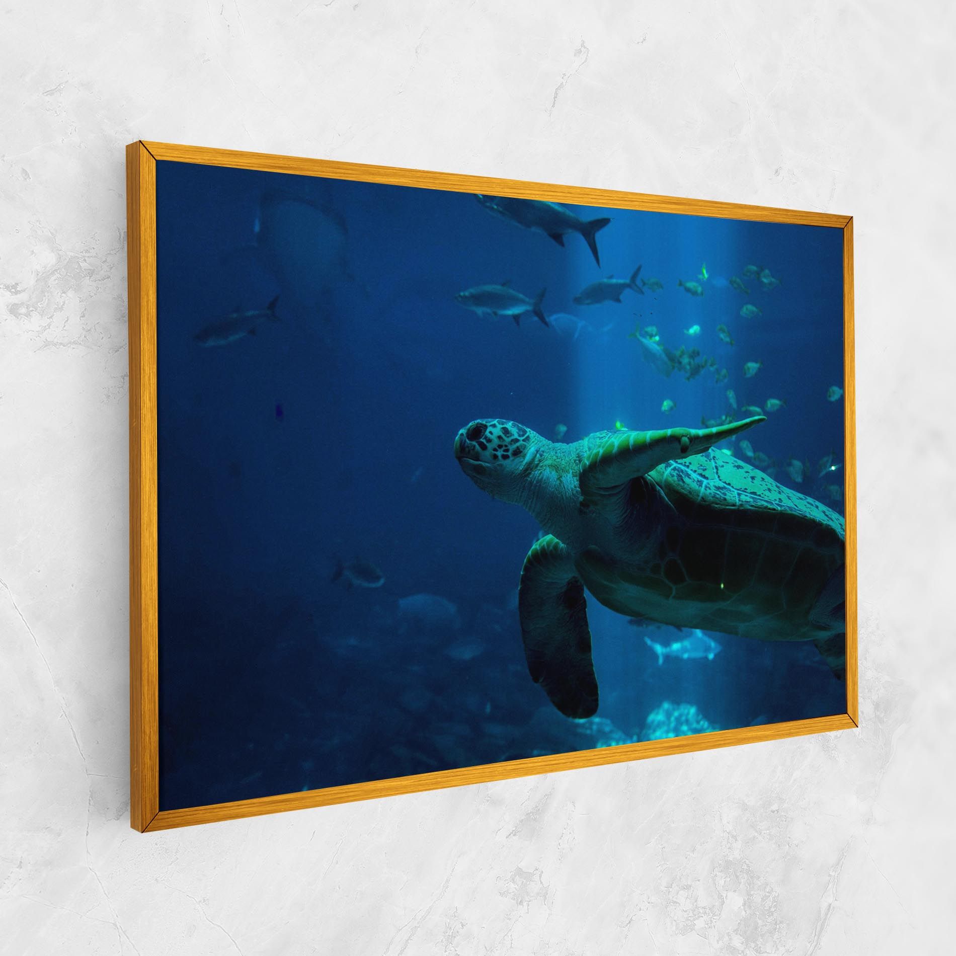 Green Turtule mockup 1