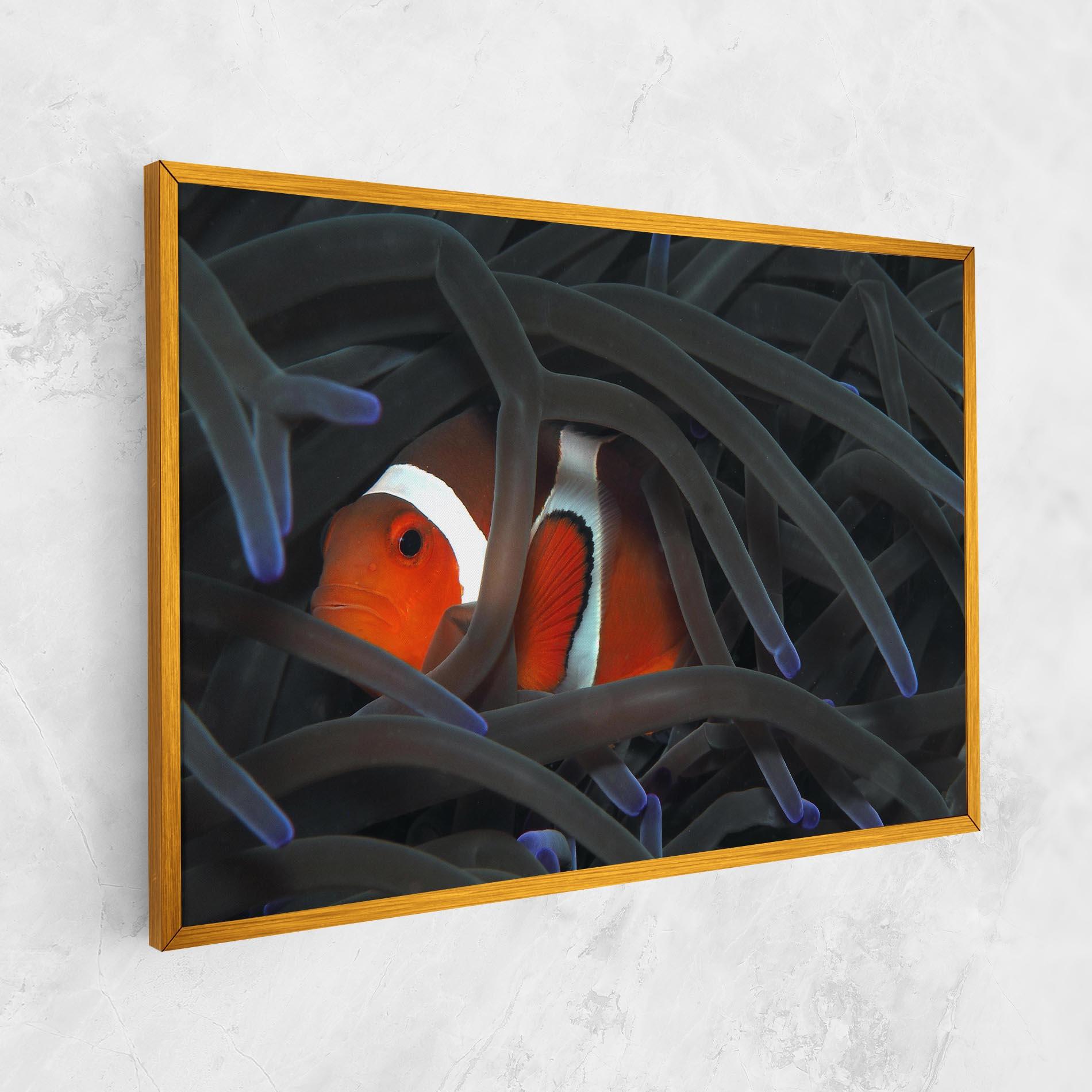 Картина на платно Nemo Hiding mockup 1