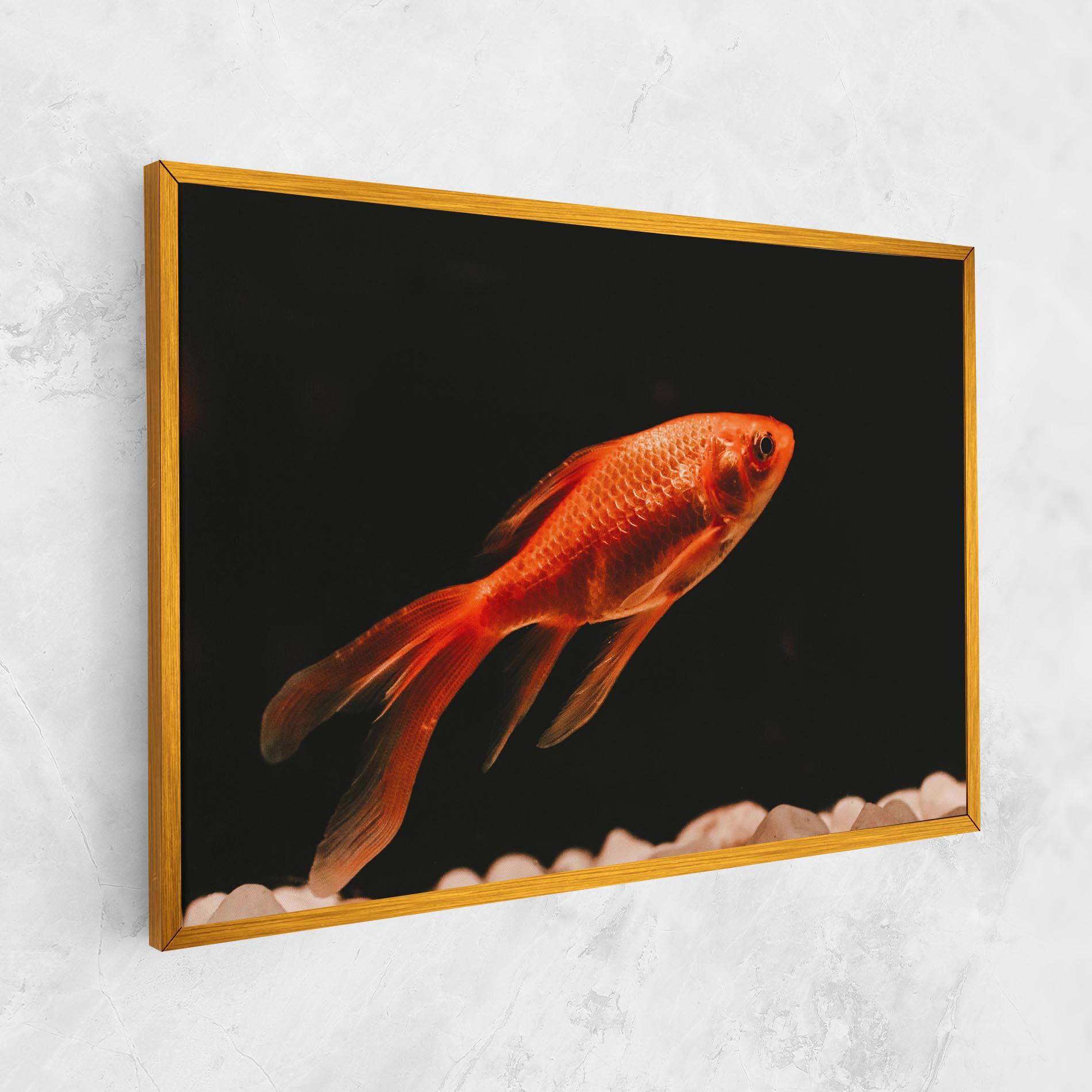 Картина на платно Small Orange Fish mockup 1