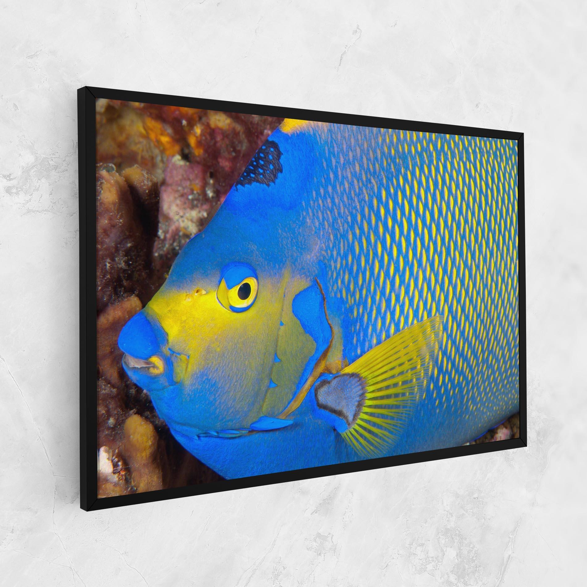 Картина на платно Blue Yellow Fish mockup 1