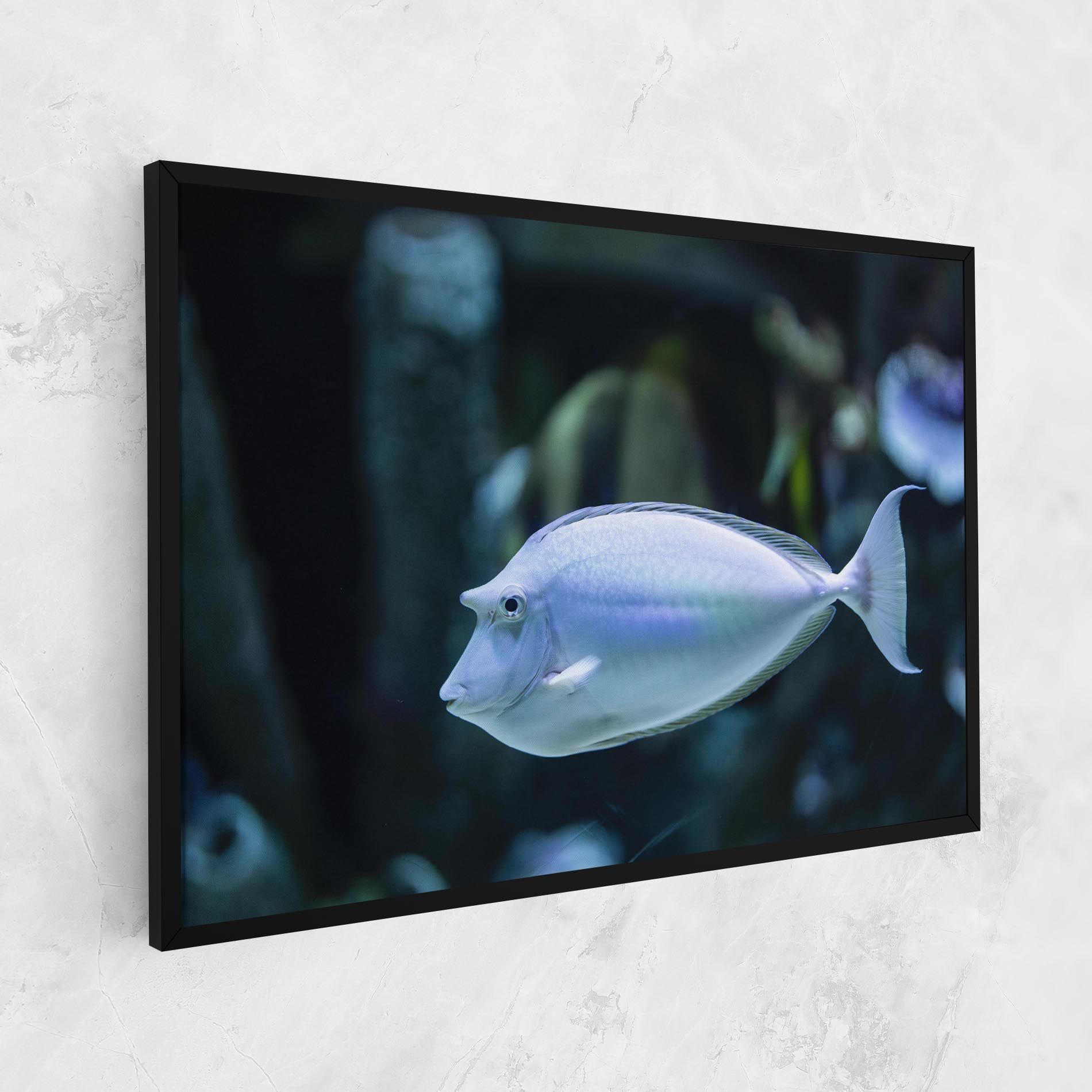 Funny Face Fish mockup 1