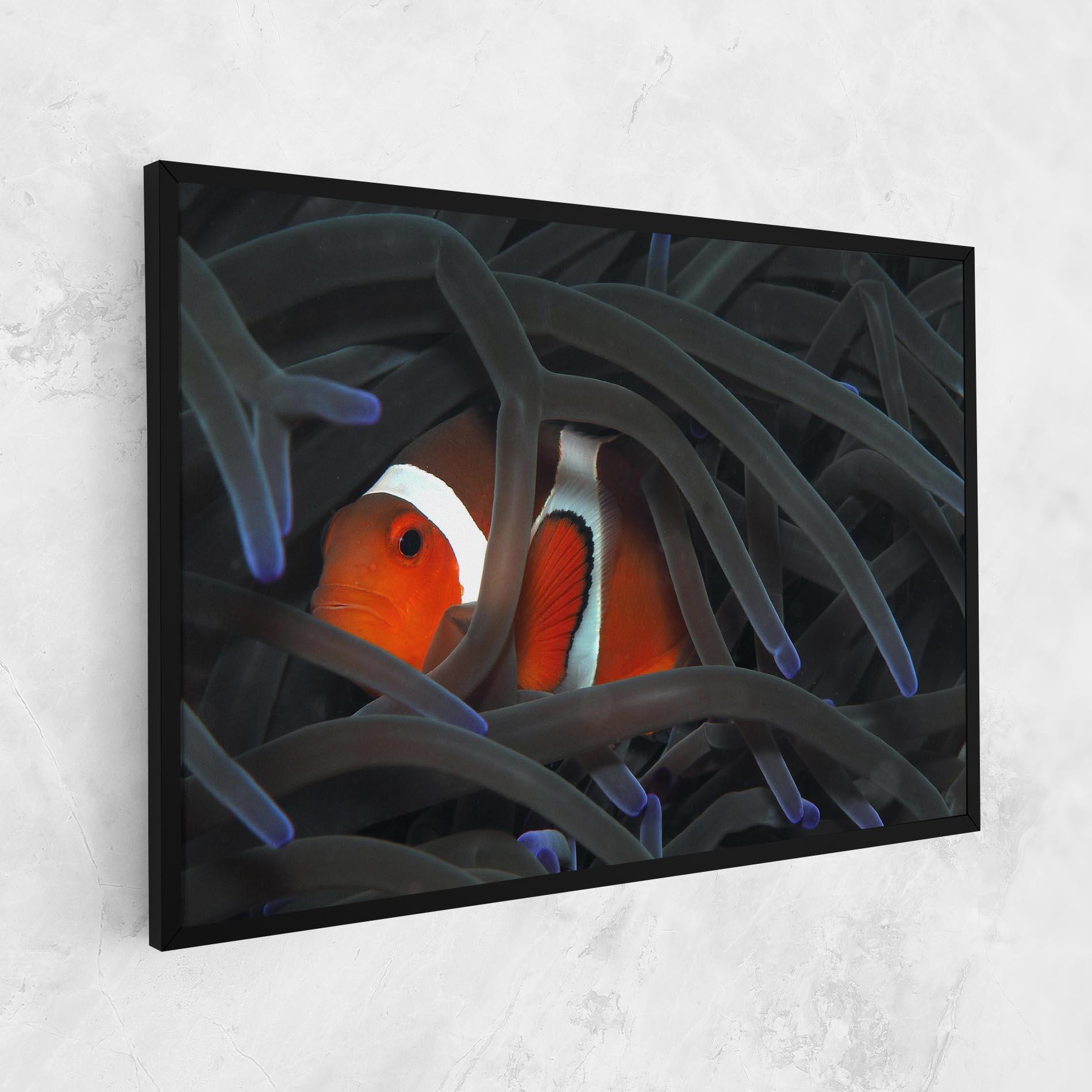 Картина на платно Nemo Hiding mockup 1