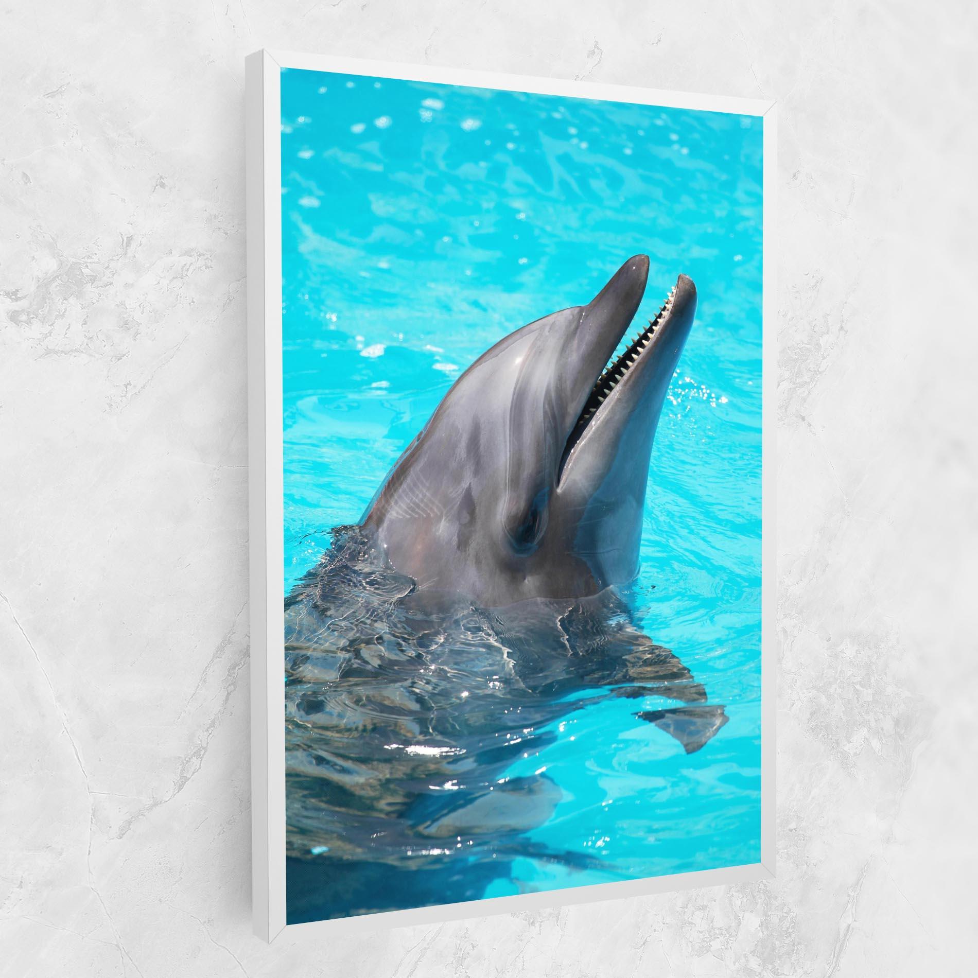 Картина на платно Trained Dolphin mockup 1