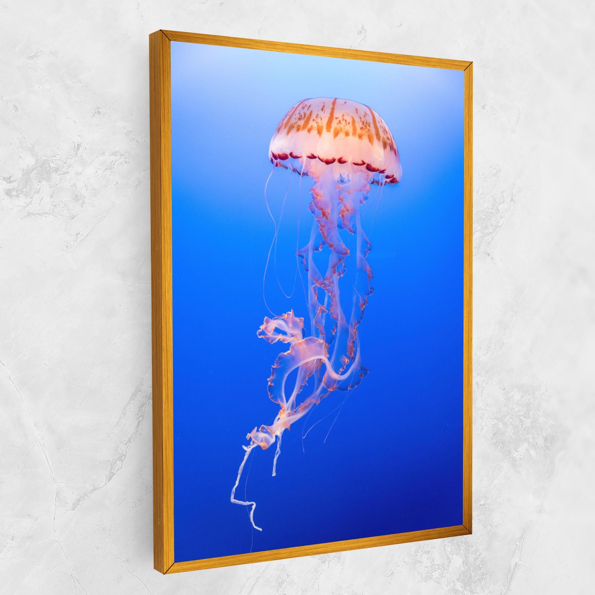 Pretty White Jellyfish mockup 1