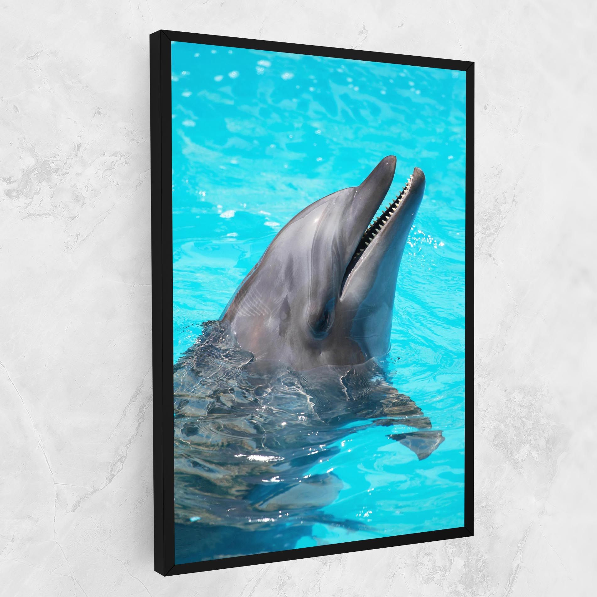 Trained Dolphin mockup 1