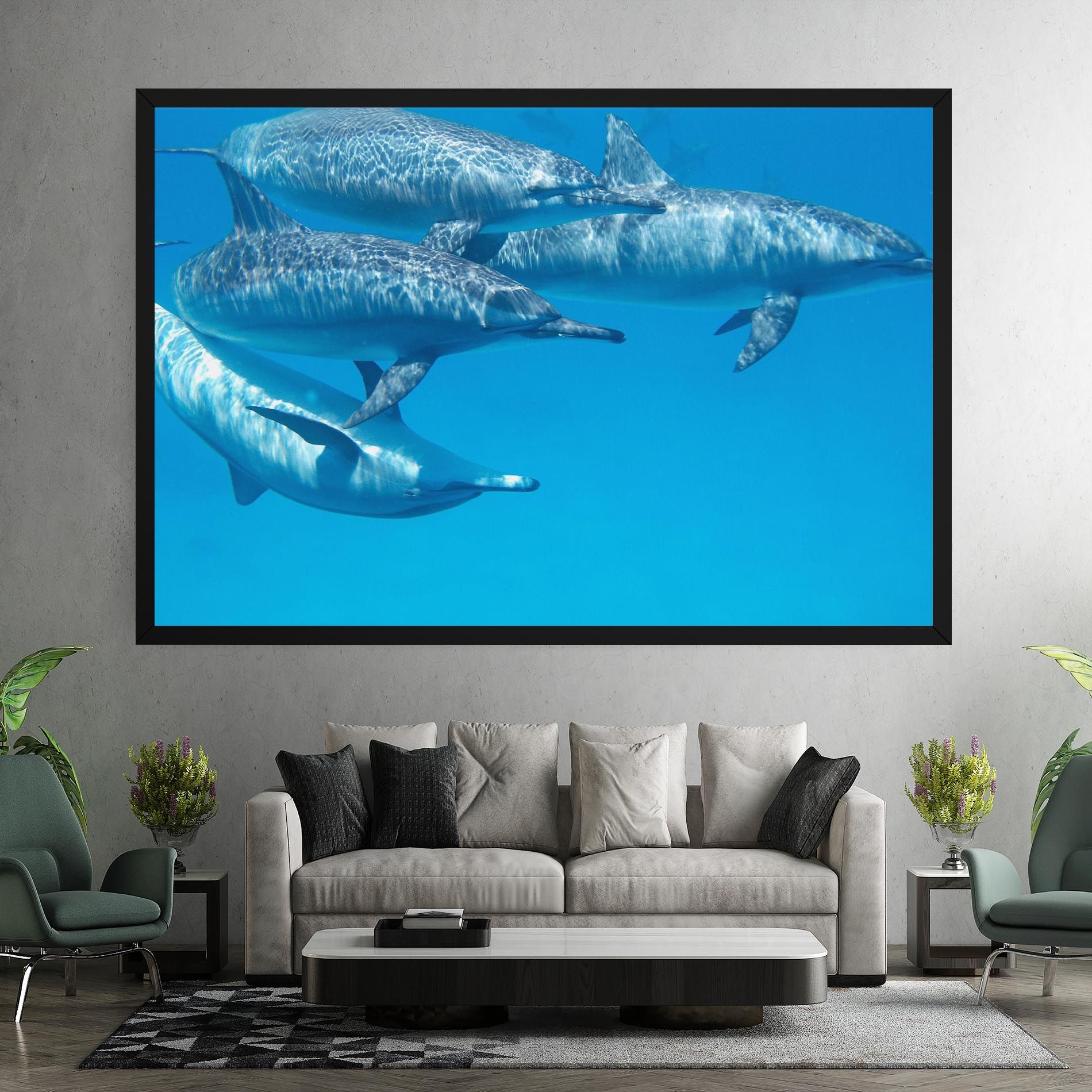 Family Of Dolphins mockup 7