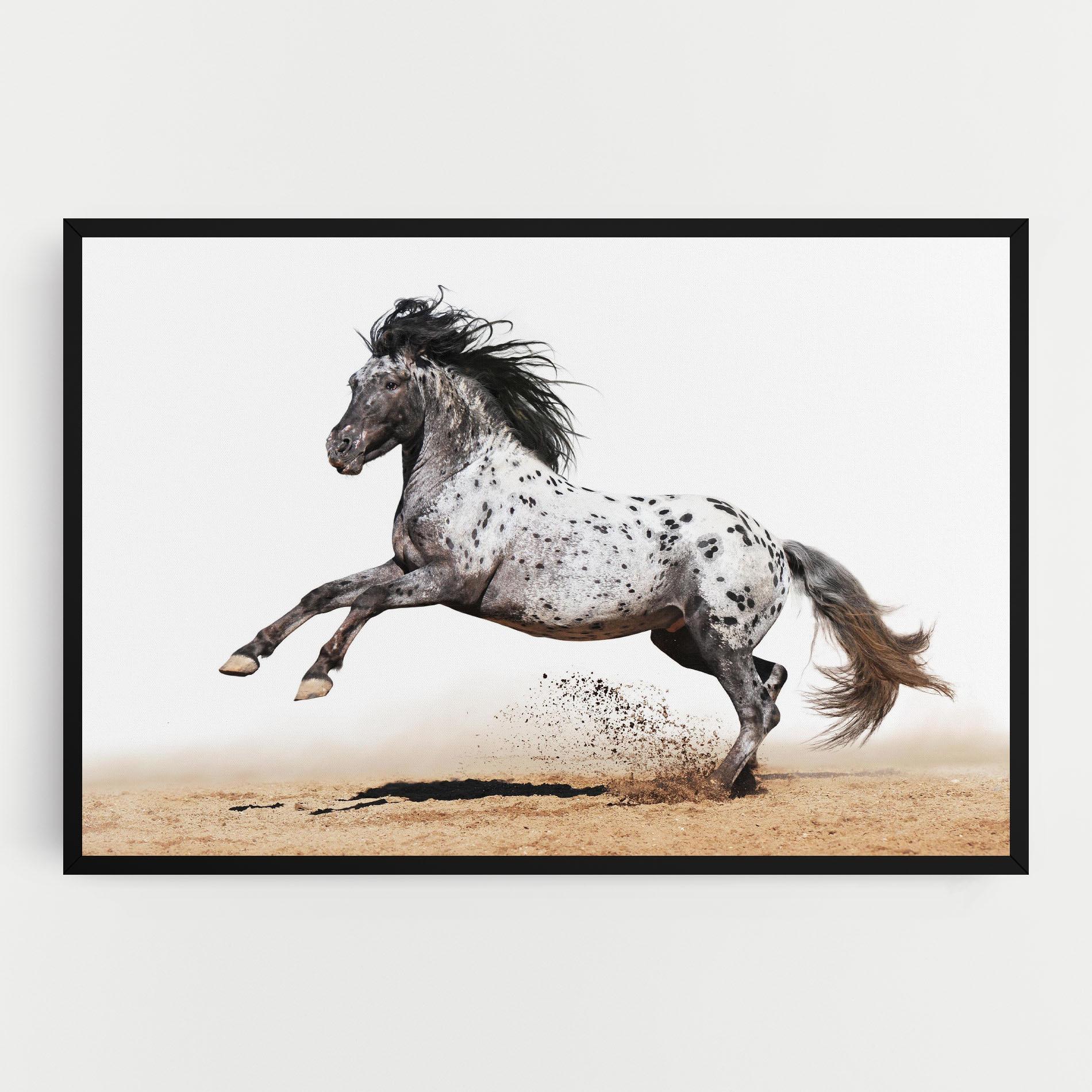 Картина на платно Appaloosa Horse Running mockup 0