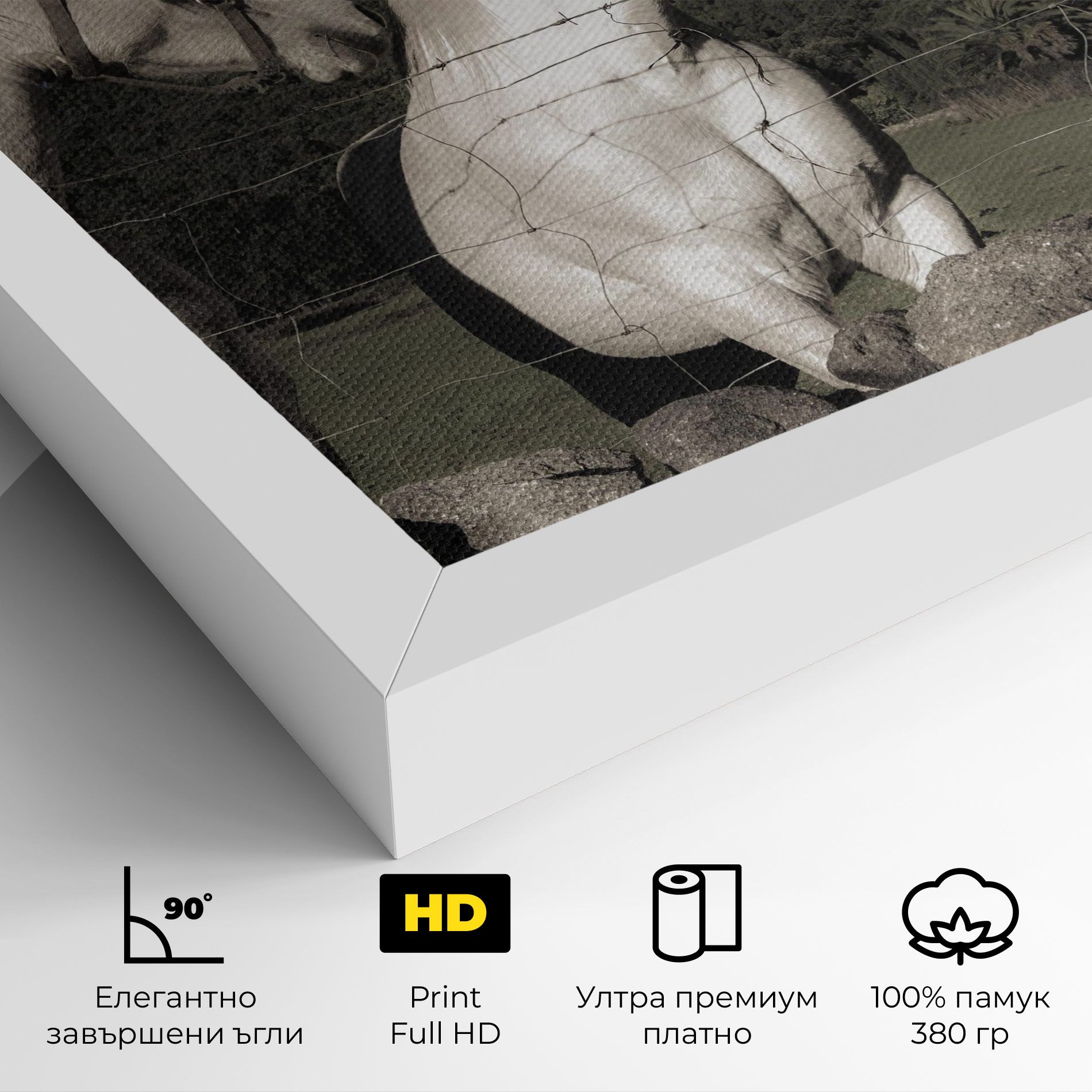 White Grey Horse mockup 4