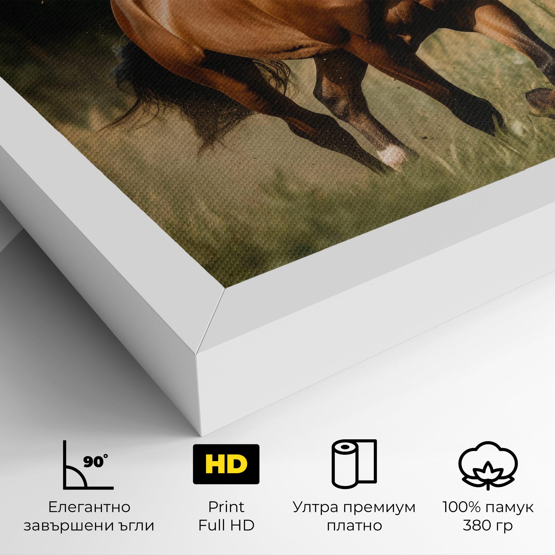 Картина на платно Wild Horse Running mockup 4