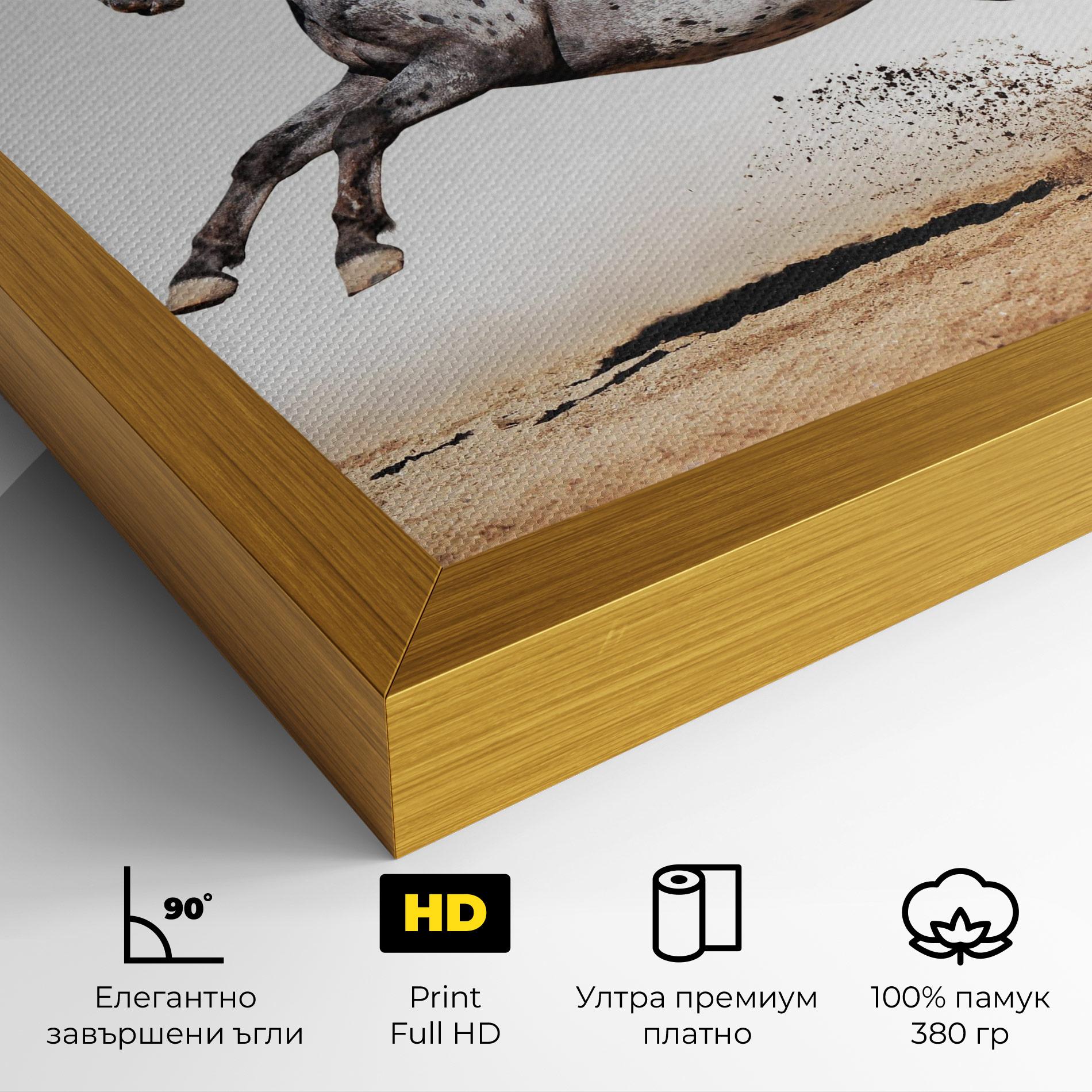 Картина на платно Appaloosa Horse Running mockup 4