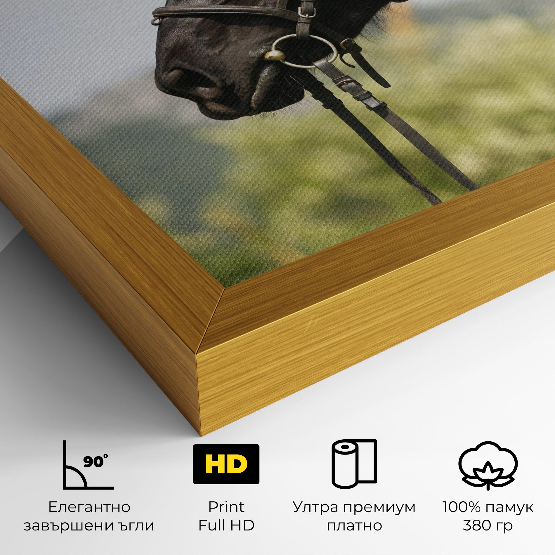 Big Ear Horse mockup 4