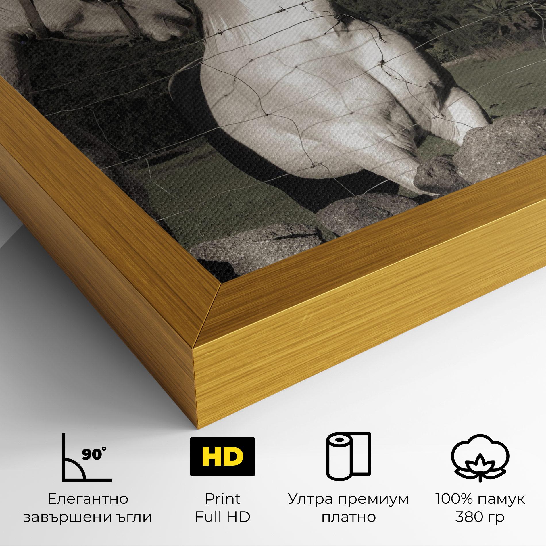 Картина на платно White Grey Horse mockup 4