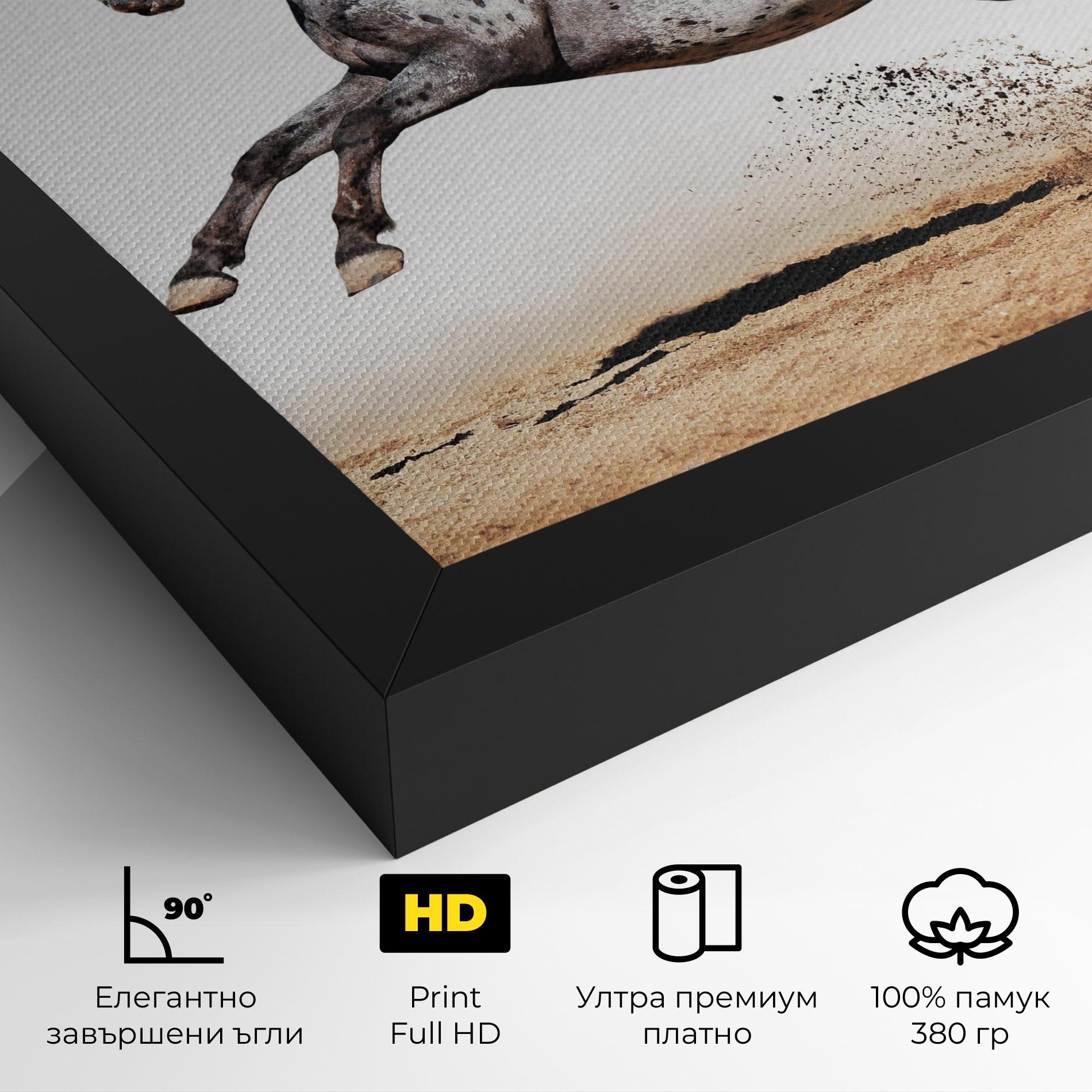 Картина на платно Appaloosa Horse Running mockup 4
