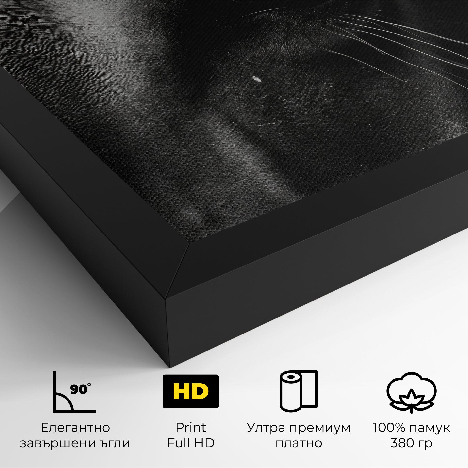 Картина на платно Black Horse Eye mockup 4