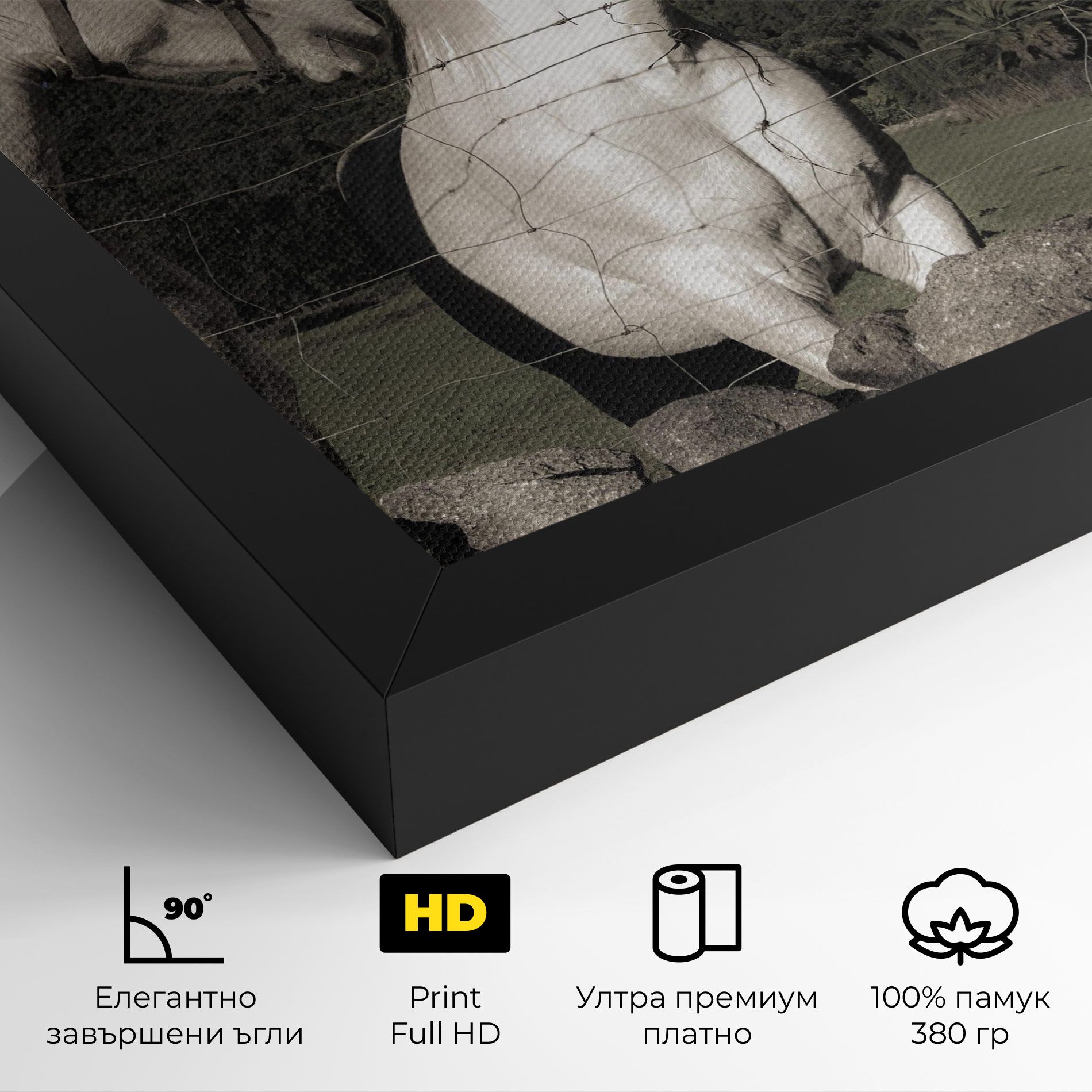 White Grey Horse mockup 4