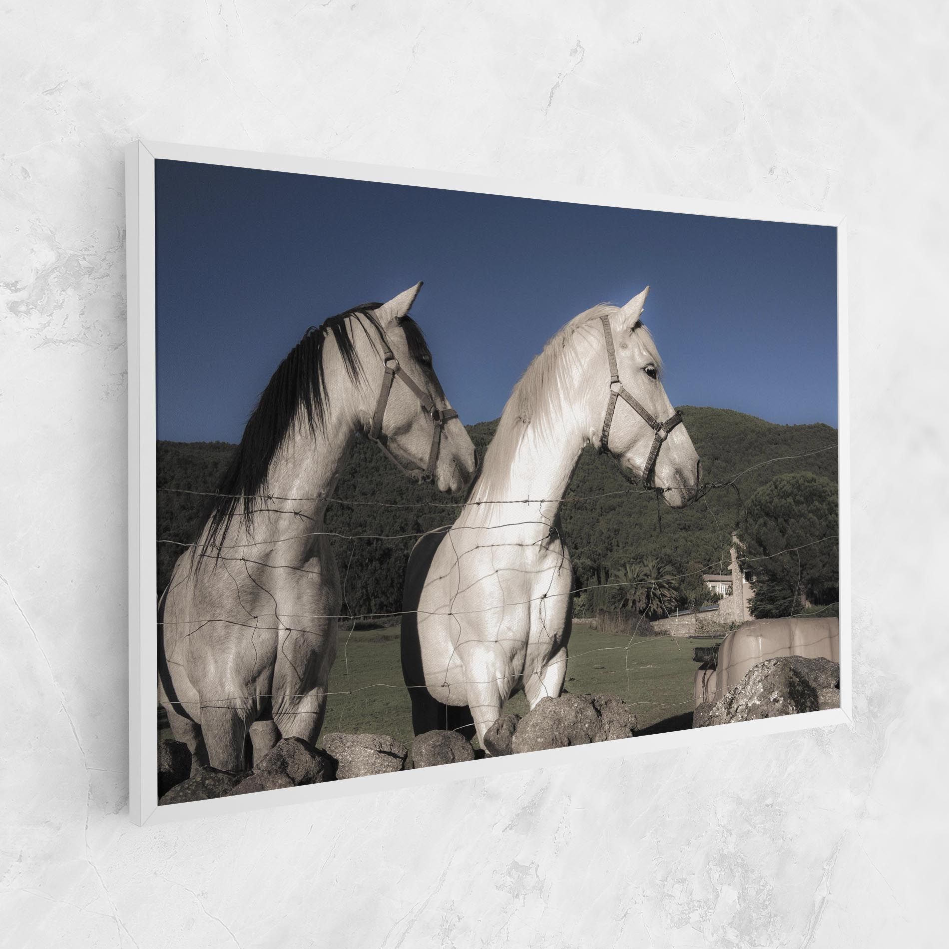 White Grey Horse mockup 1