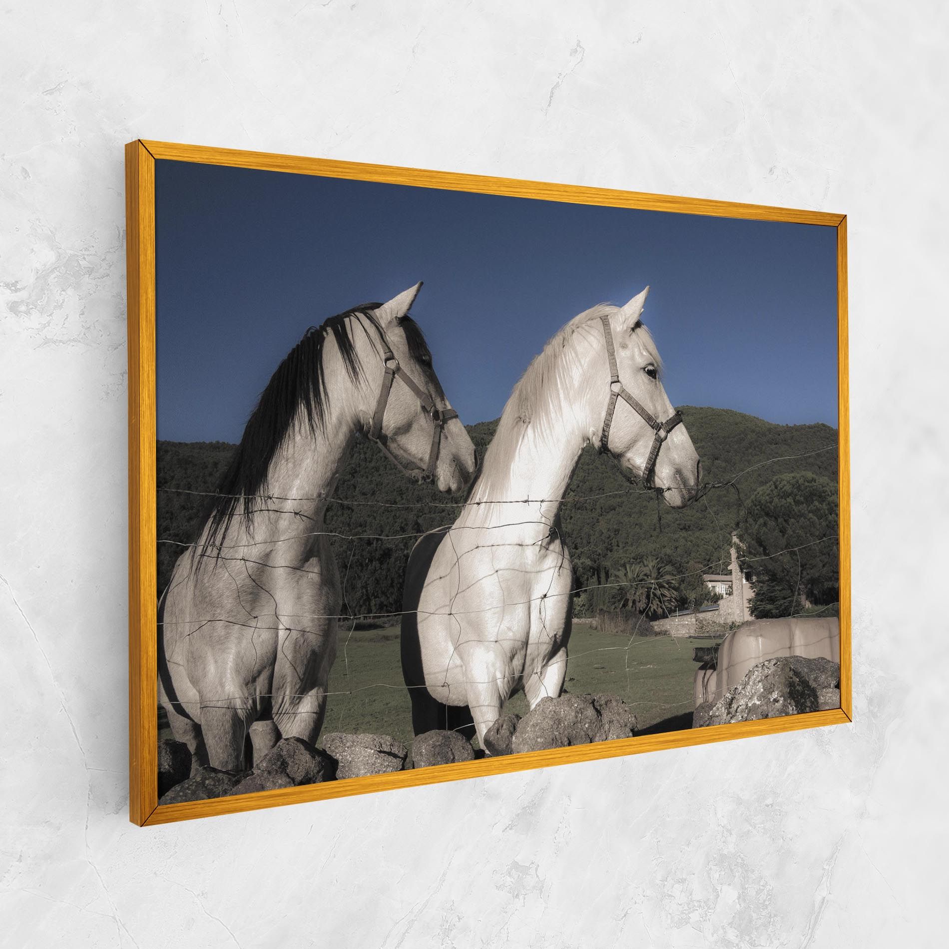 White Grey Horse mockup 1