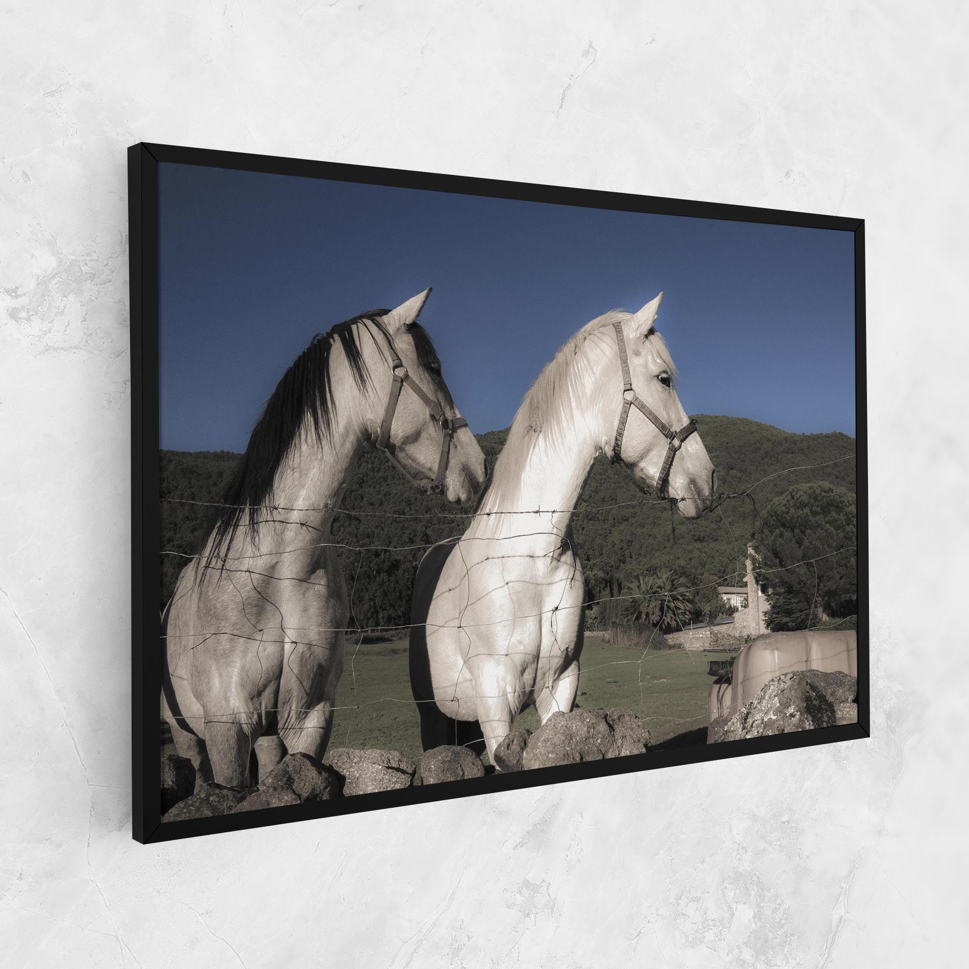 White Grey Horse mockup 1