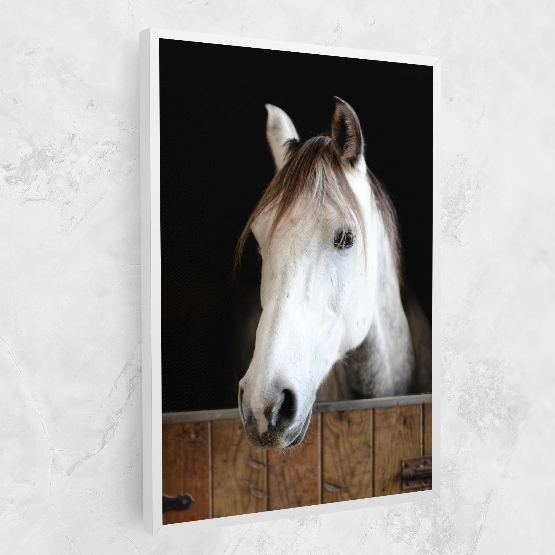 Grey Horse Head mockup 1