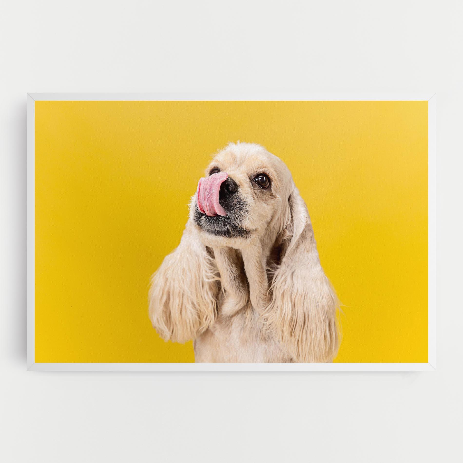 Картина на платно American Spaniel mockup 0