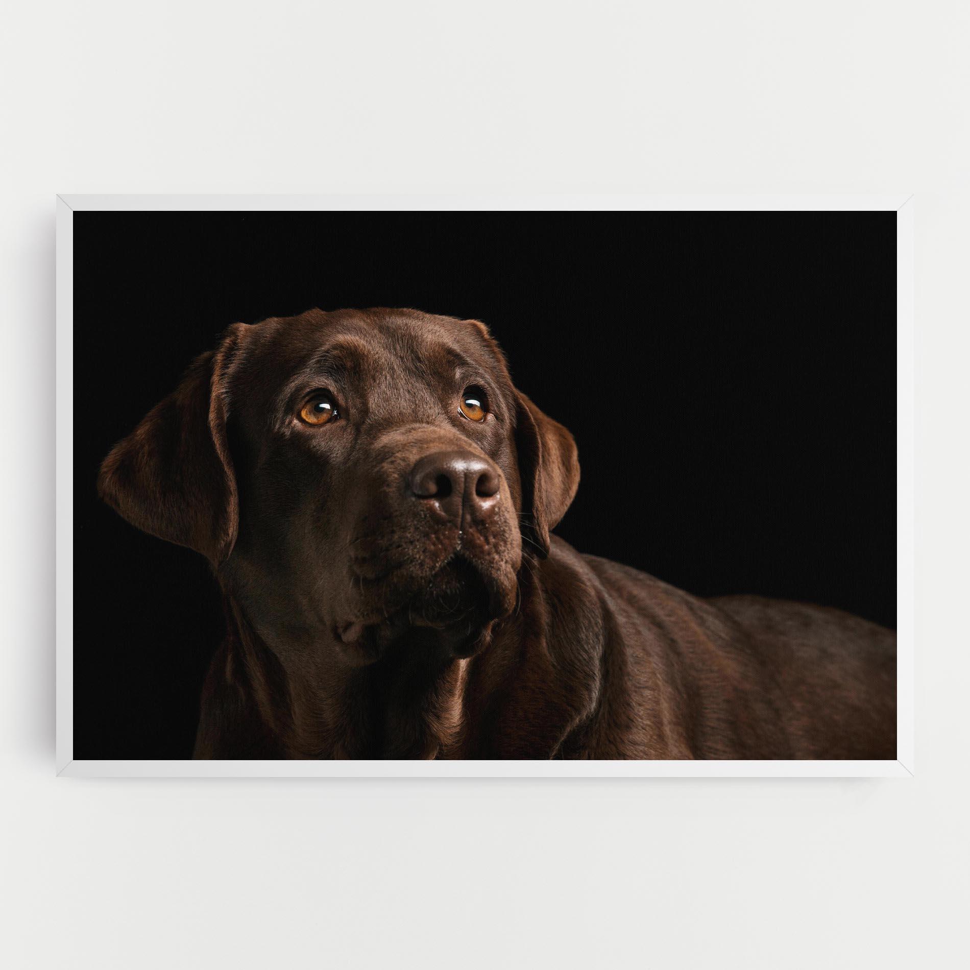 Картина на платно Brown Labrador mockup 0