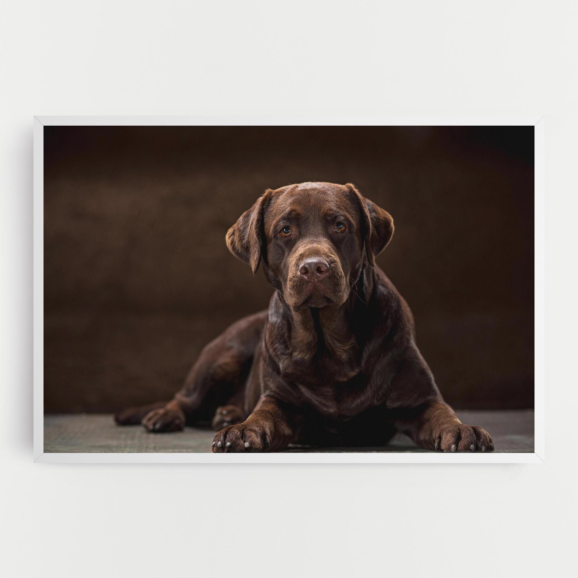 Cute Brown Labrador mockup 0