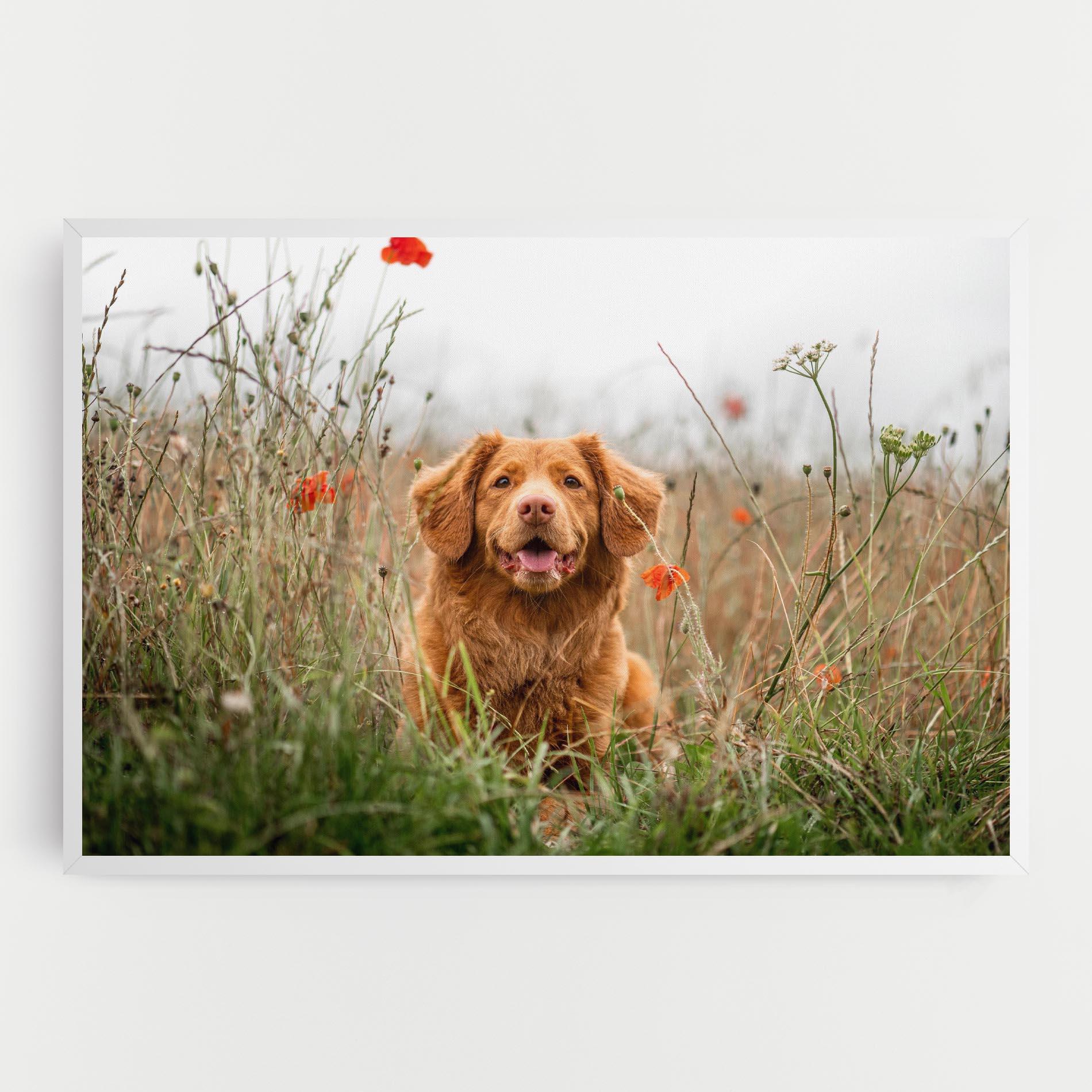 Картина на платно Red Flowers Dog mockup 0