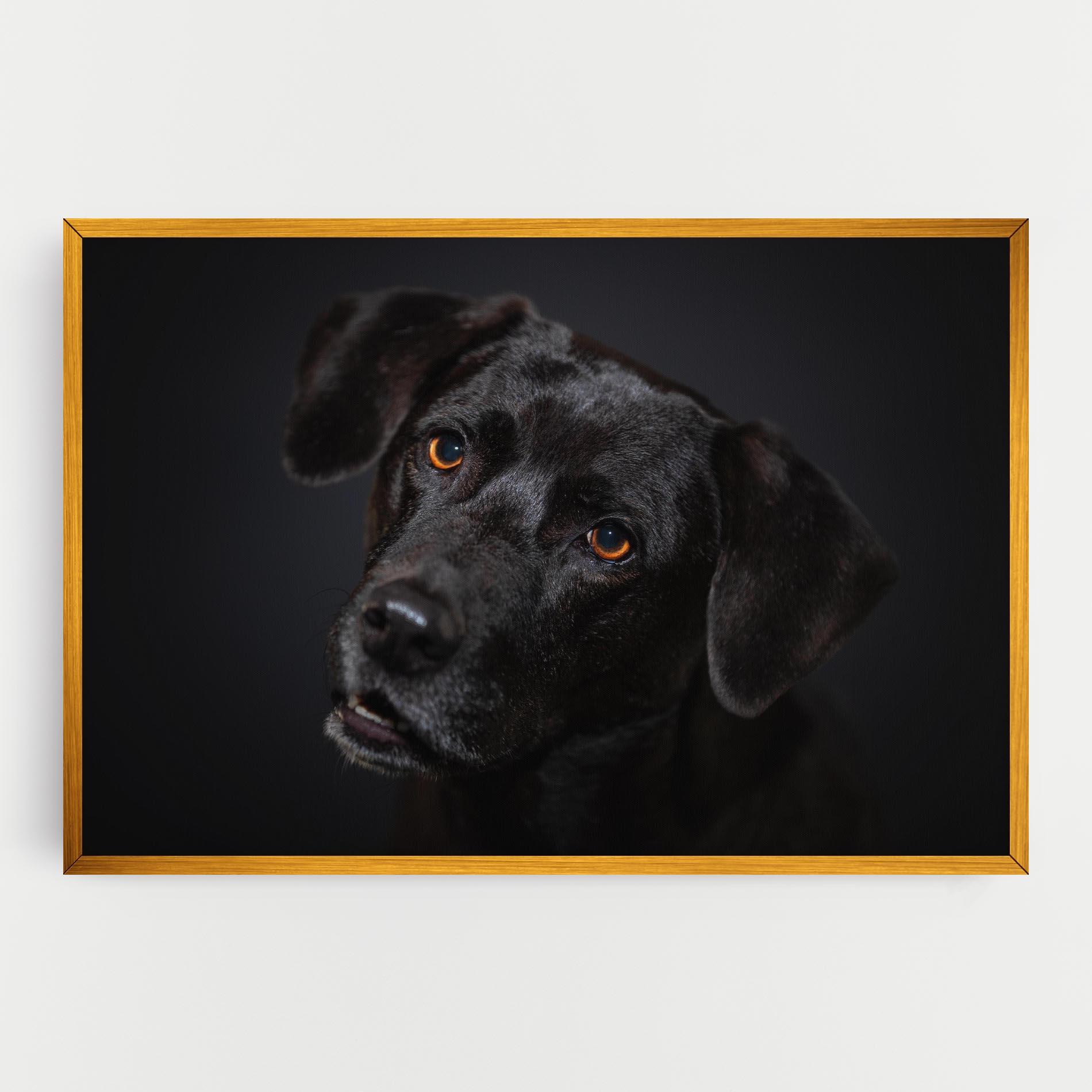 Картина на платно Black Dog Portrait mockup 0