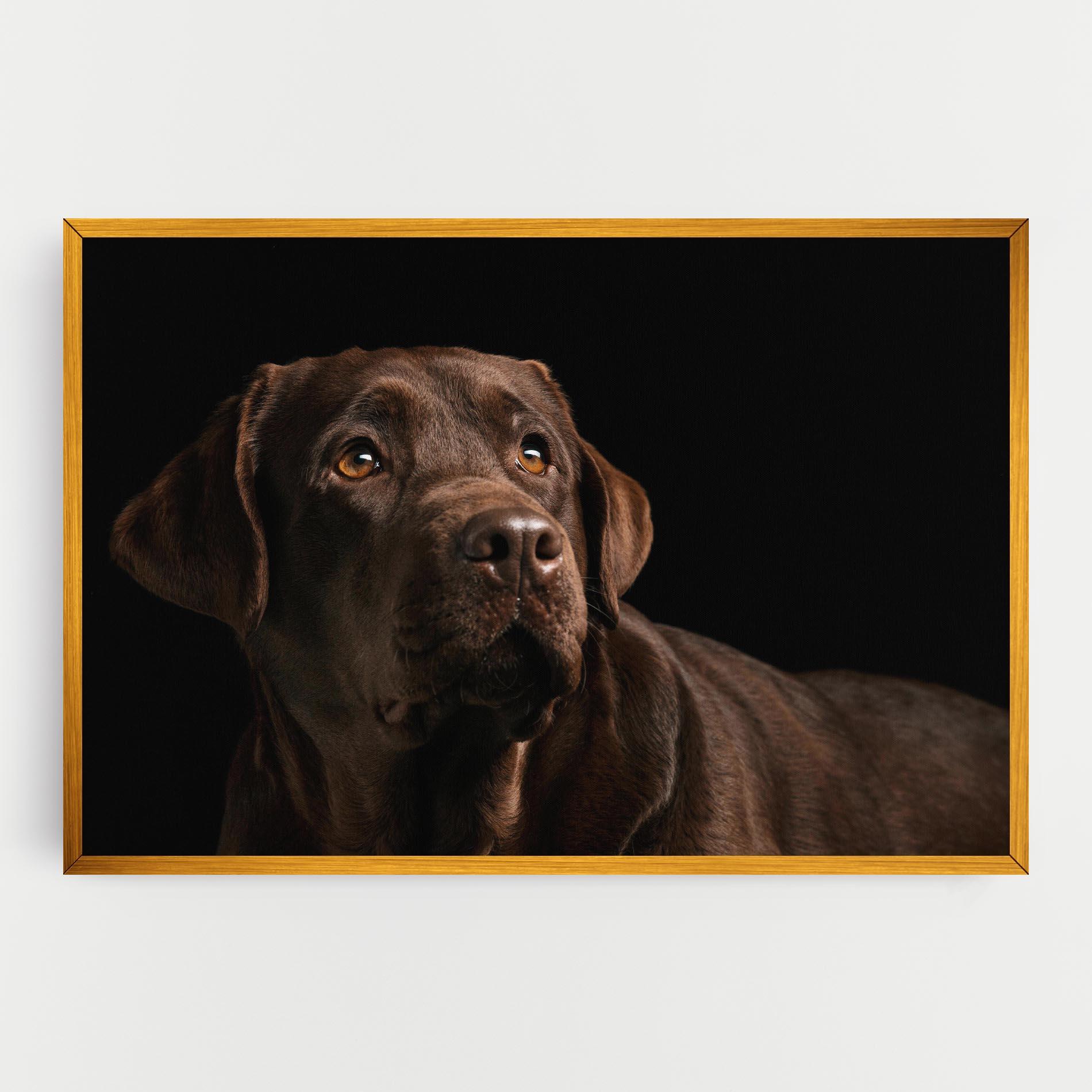 Картина на платно Brown Labrador mockup 0