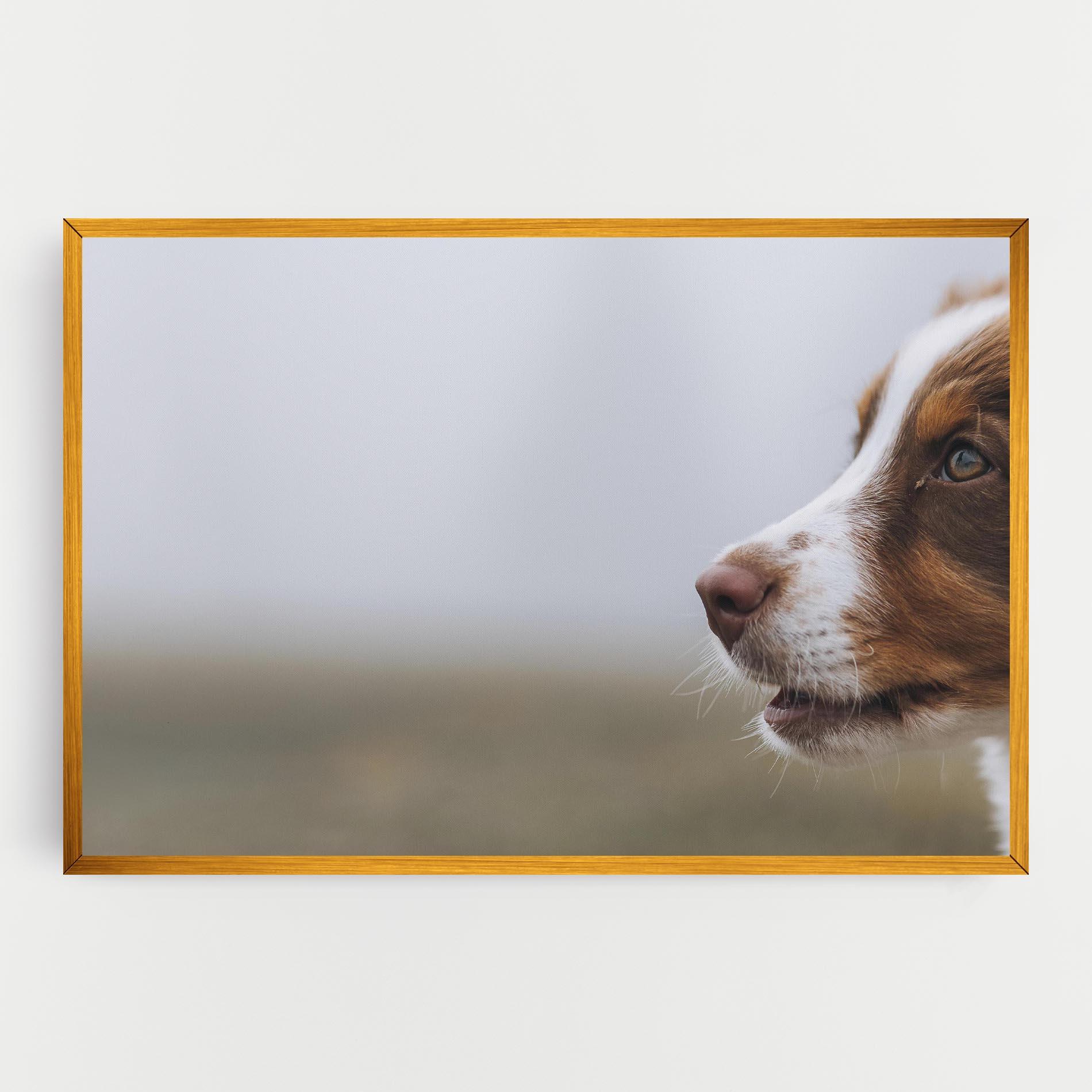 Картина на платно Brown White Dog mockup 0