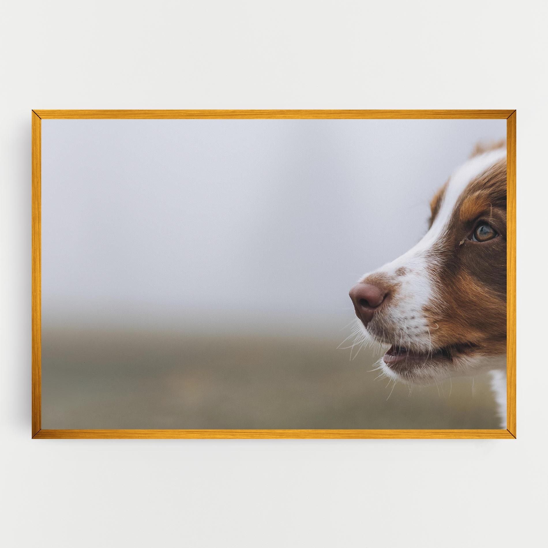 Brown White Dog mockup 0