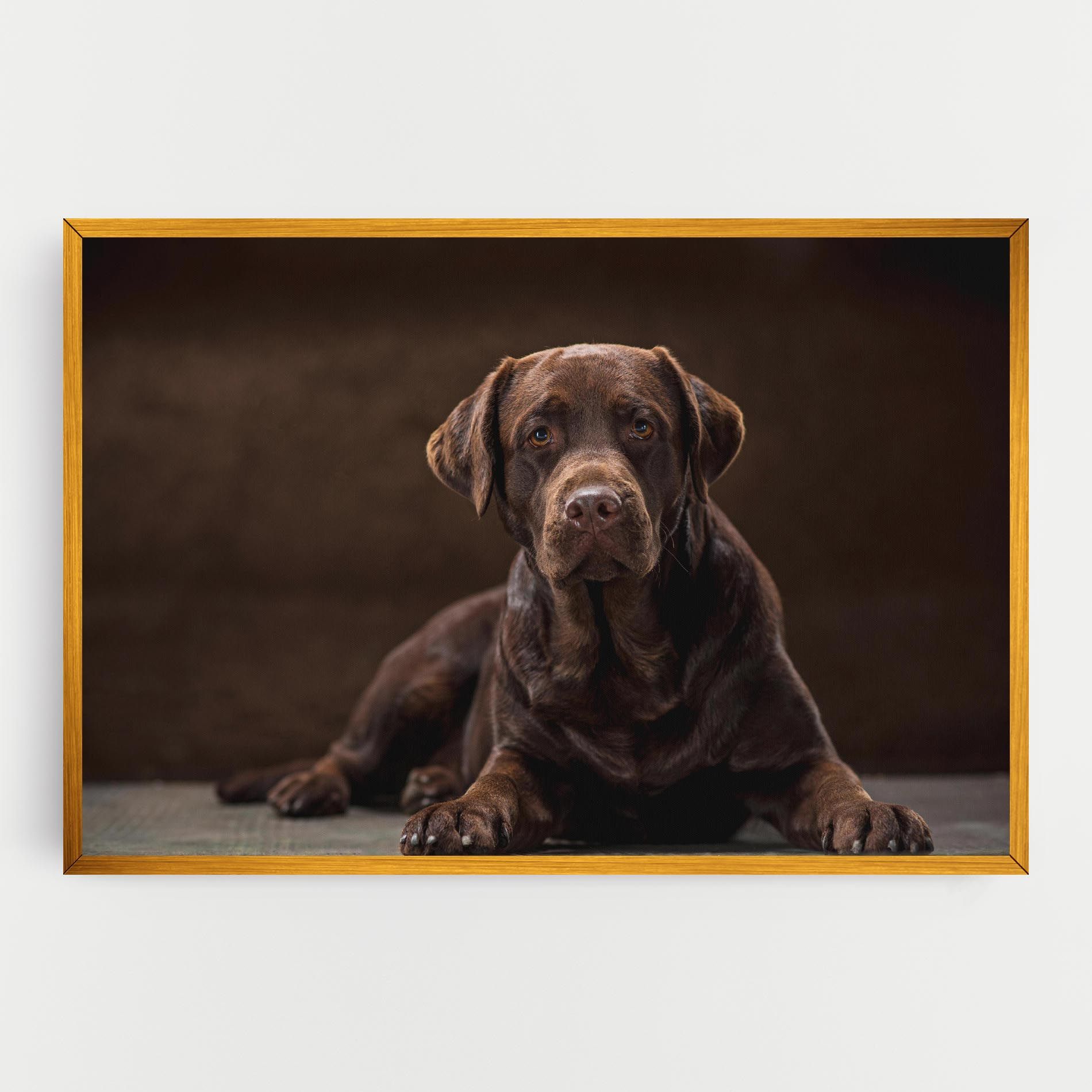 Cute Brown Labrador mockup 0