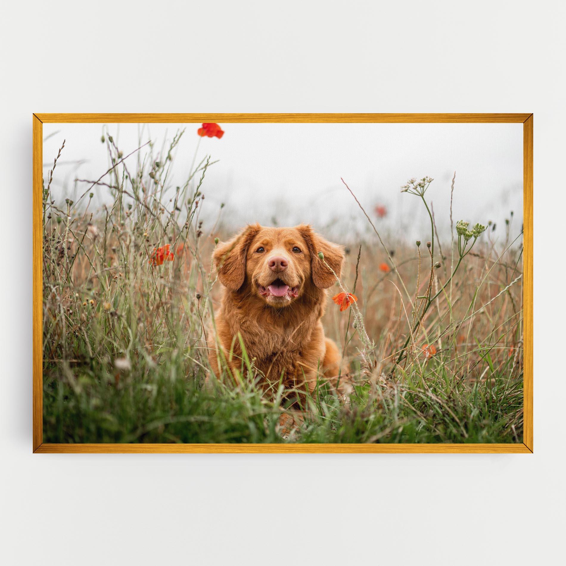 Картина на платно Red Flowers Dog mockup 0