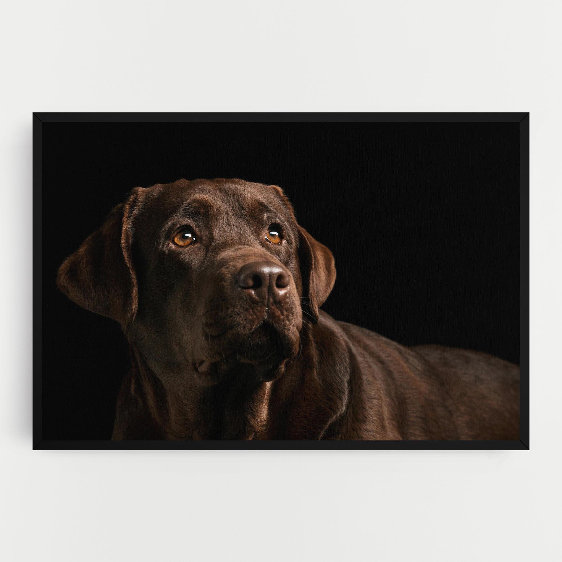 Картина на платно Brown Labrador mockup 0