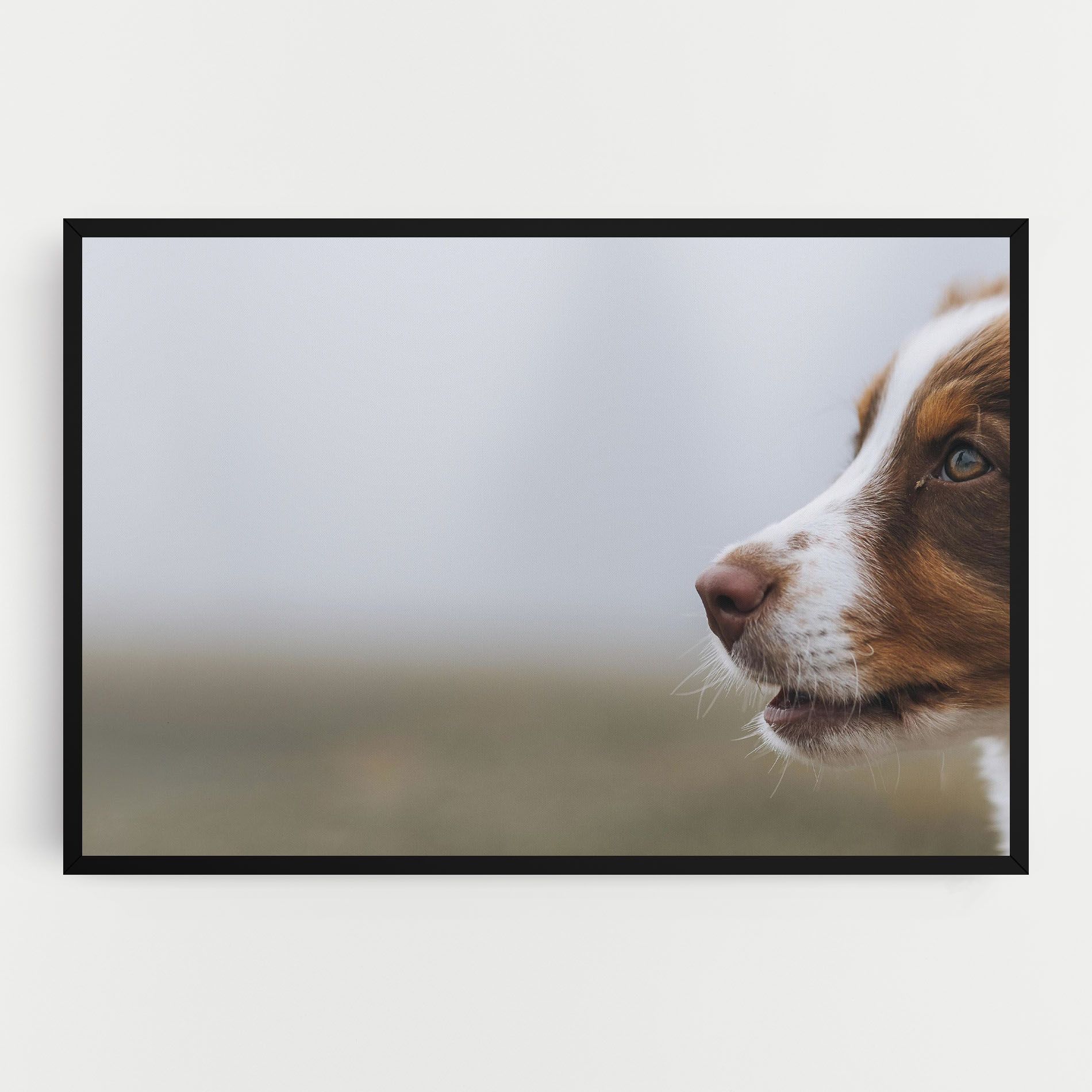 Brown White Dog mockup 0