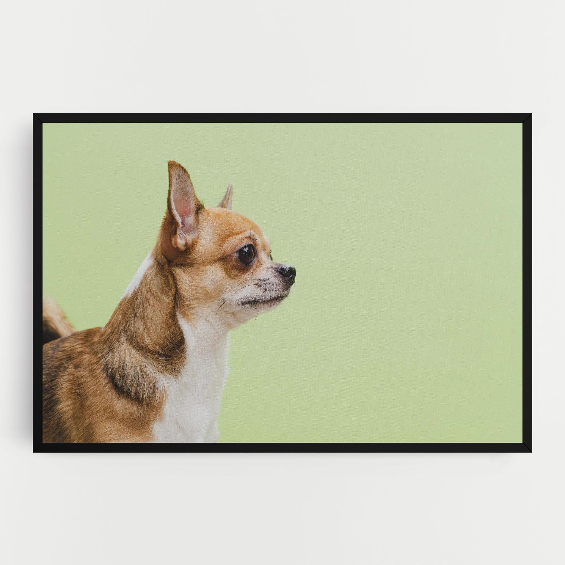 Картина на платно Chihuahua Dog mockup 0