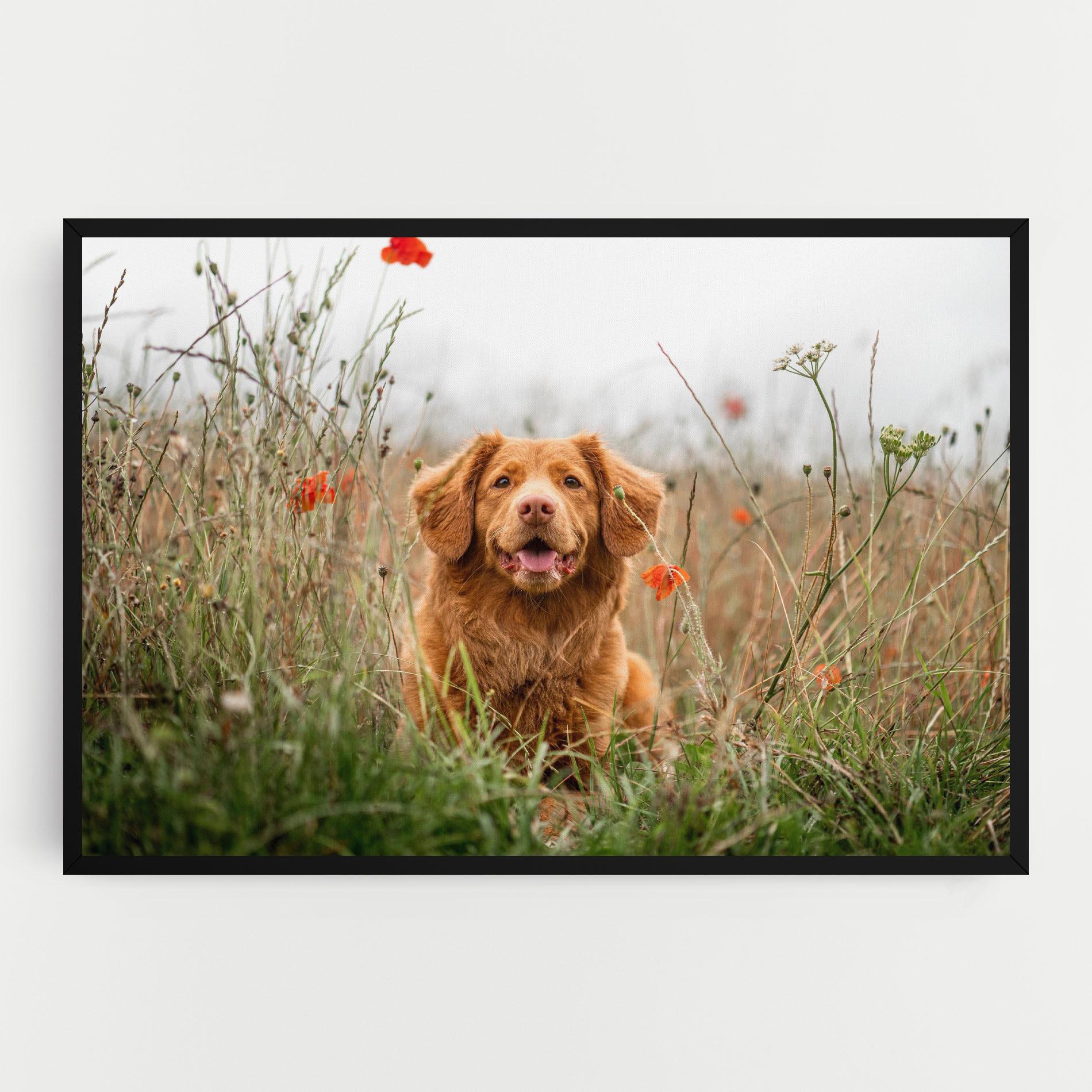 Картина на платно Red Flowers Dog mockup 0