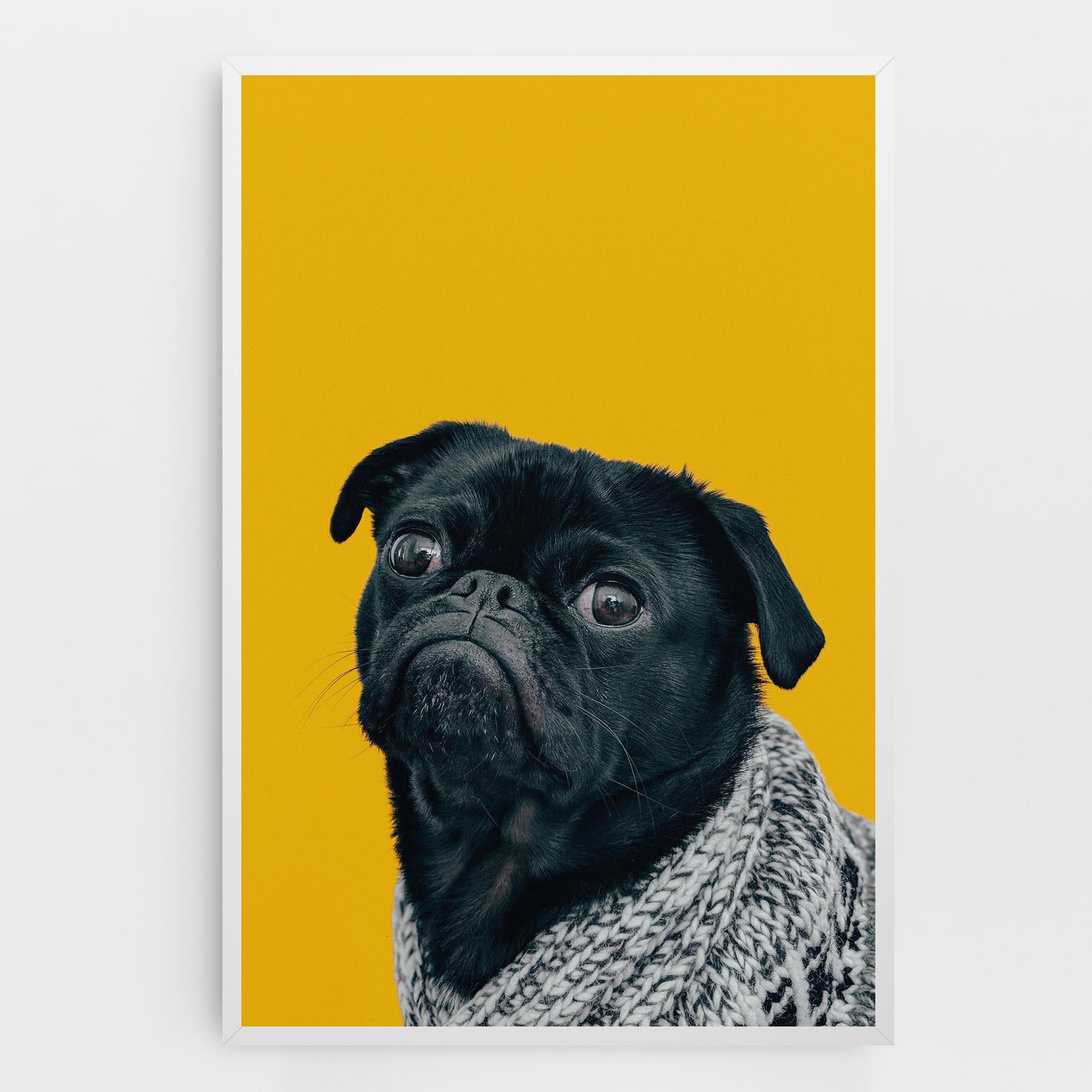 Картина на платно Black Pug mockup 0