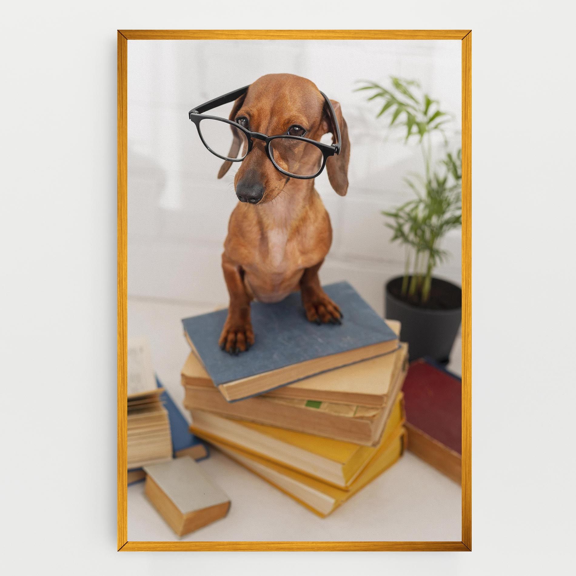 Books Cute Dog mockup 0