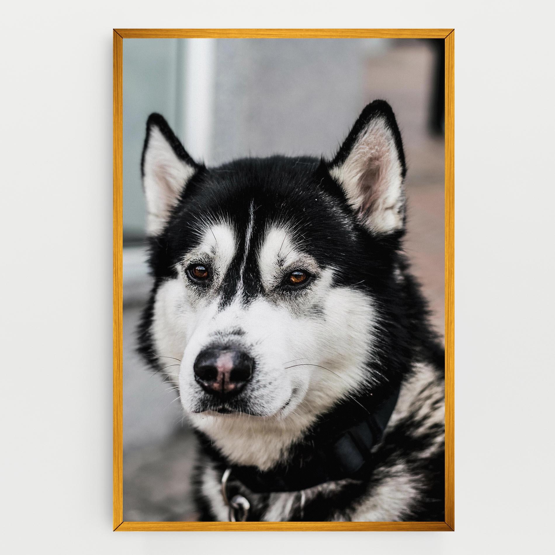 Картина на платно Husky Dog mockup 0
