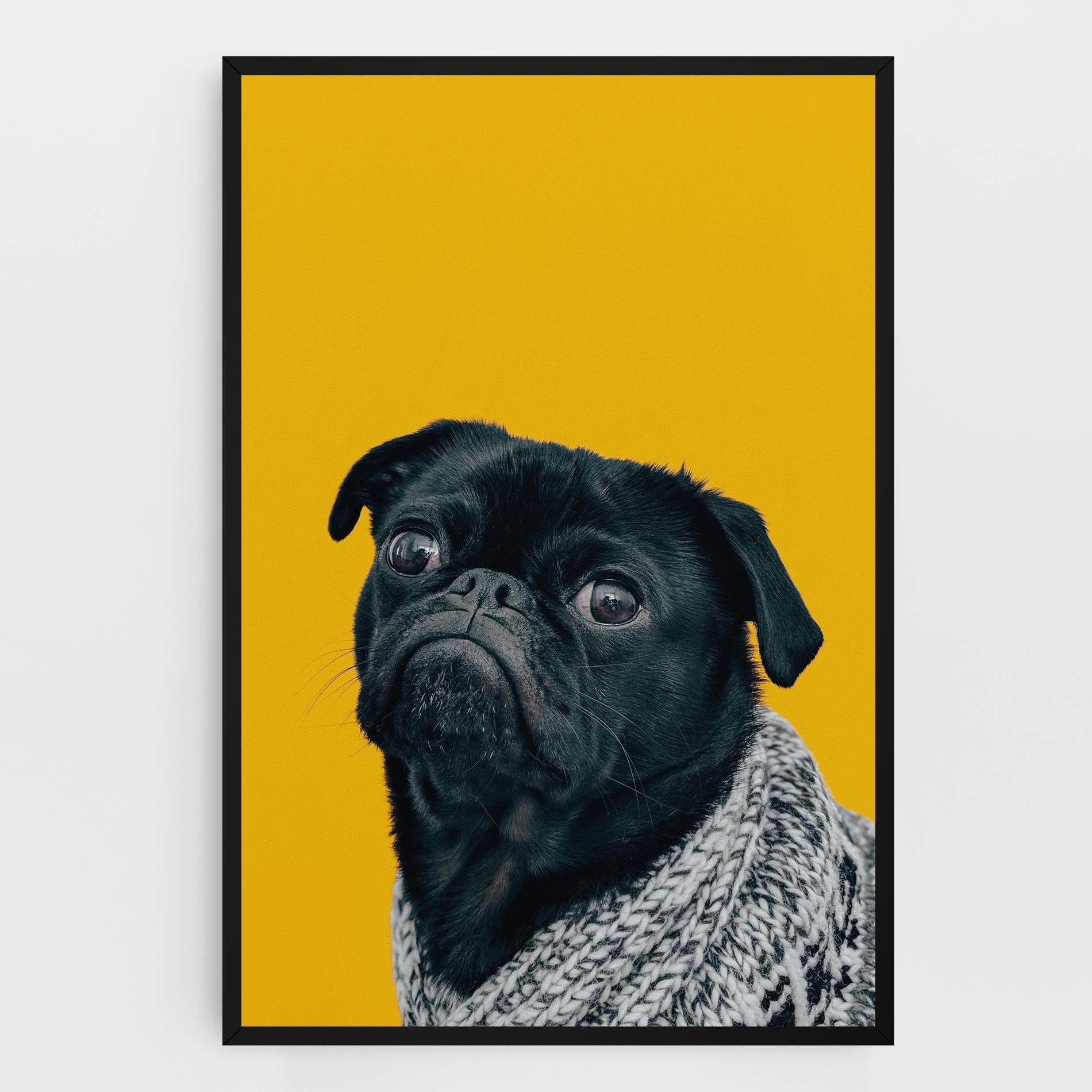 Картина на платно Black Pug mockup 0
