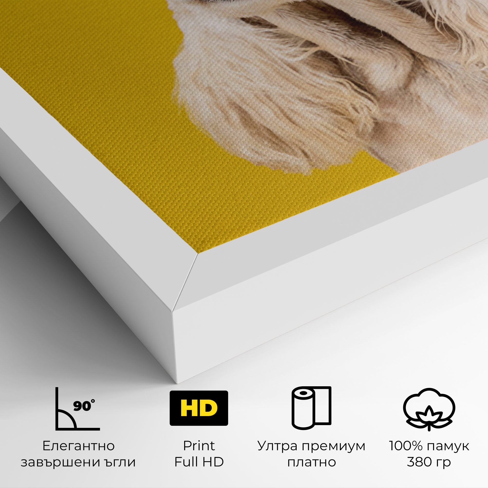 American Spaniel mockup 4