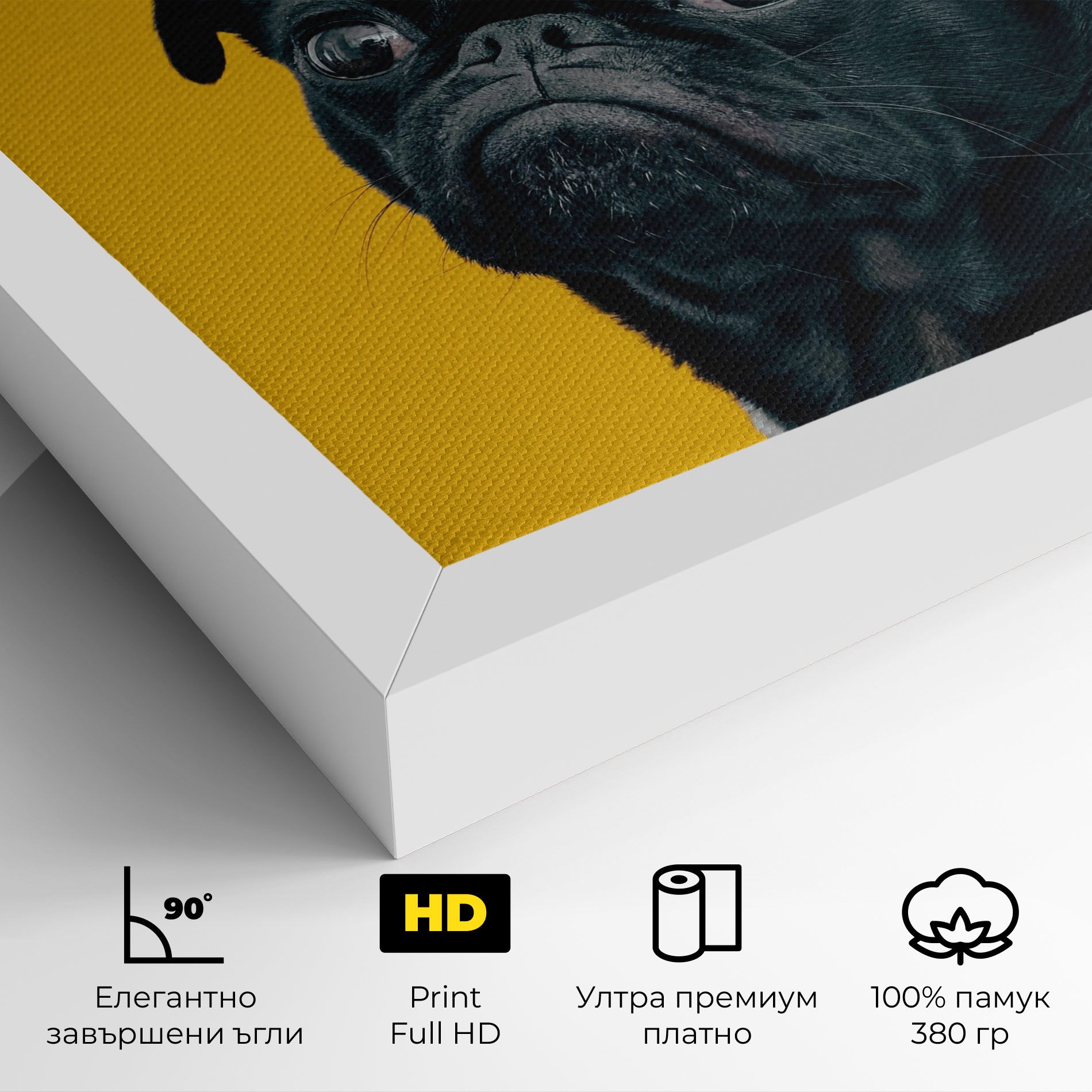 Black Pug mockup 4
