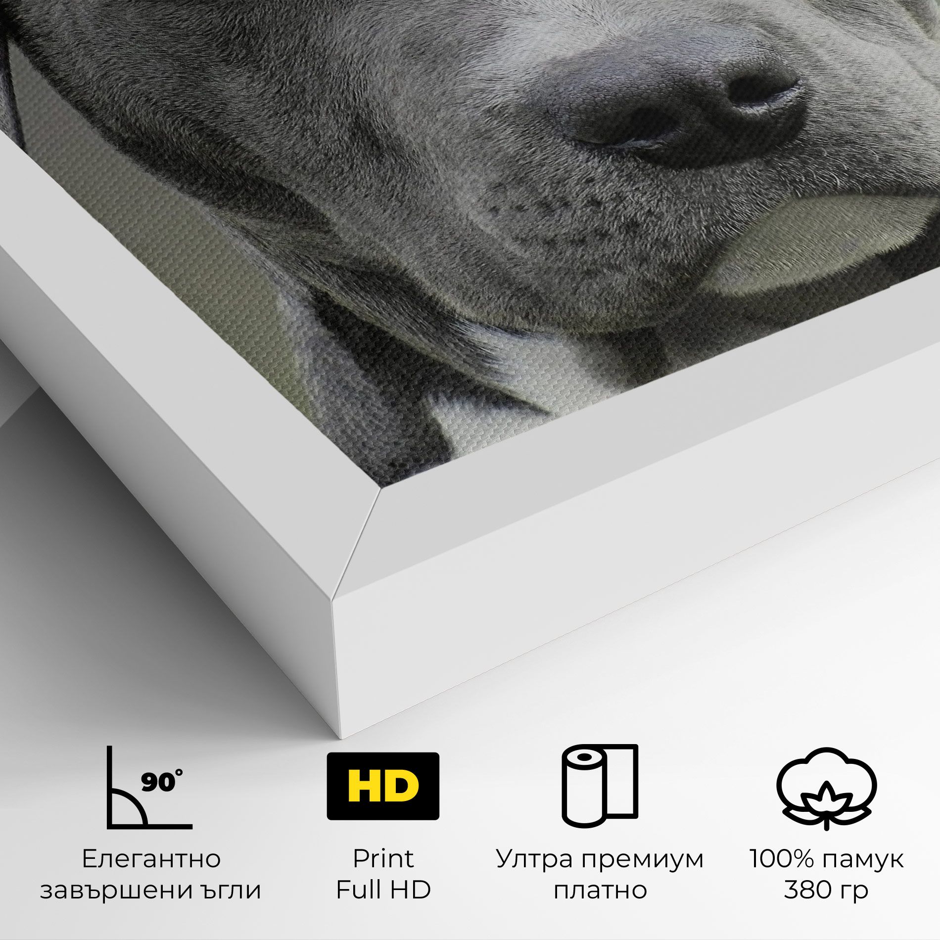 Blue Eyes Dog mockup 4